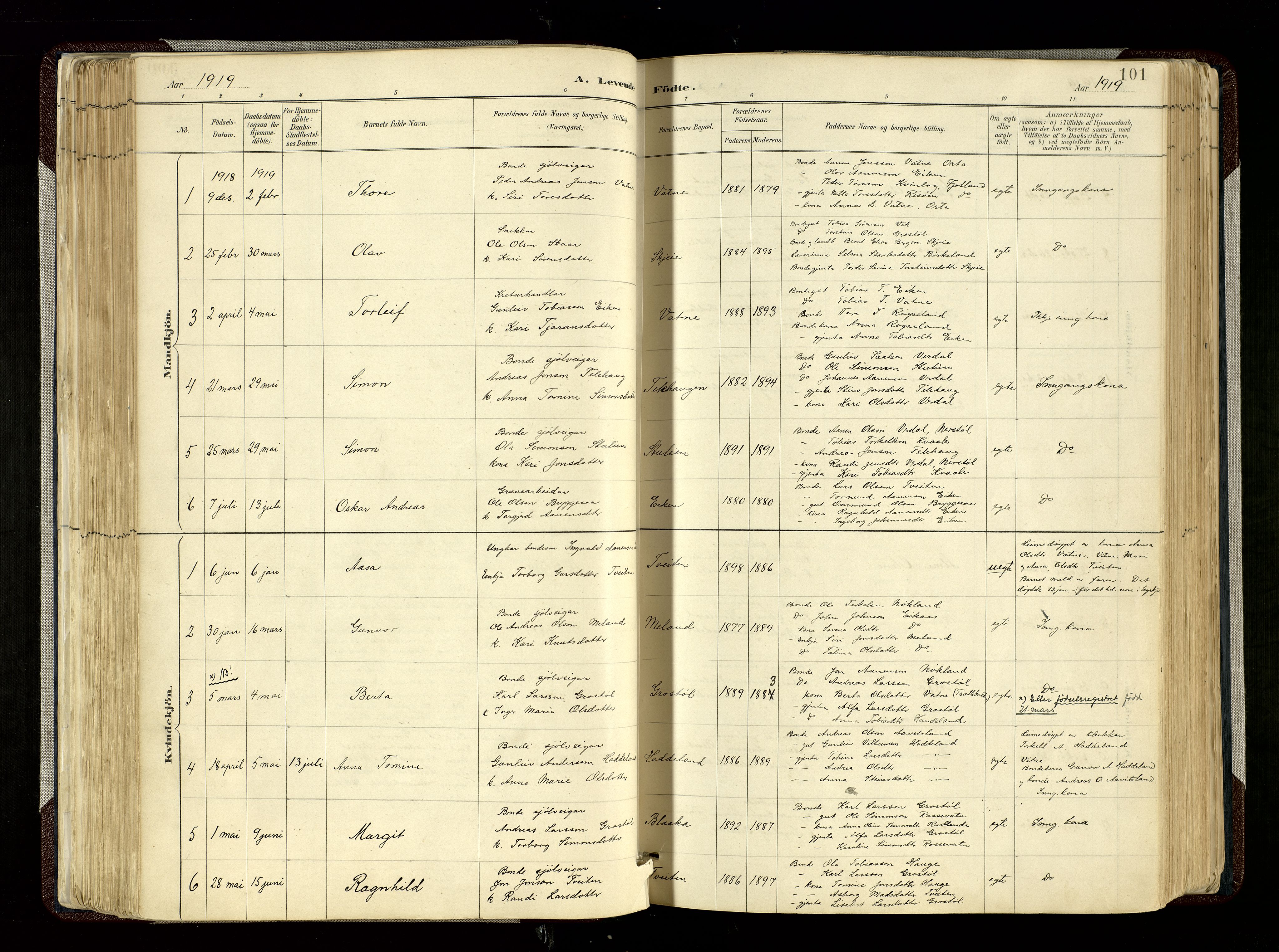 Hægebostad sokneprestkontor, SAK/1111-0024/F/Fa/Fab/L0004: Parish register (official) no. A 4, 1887-1929, p. 101