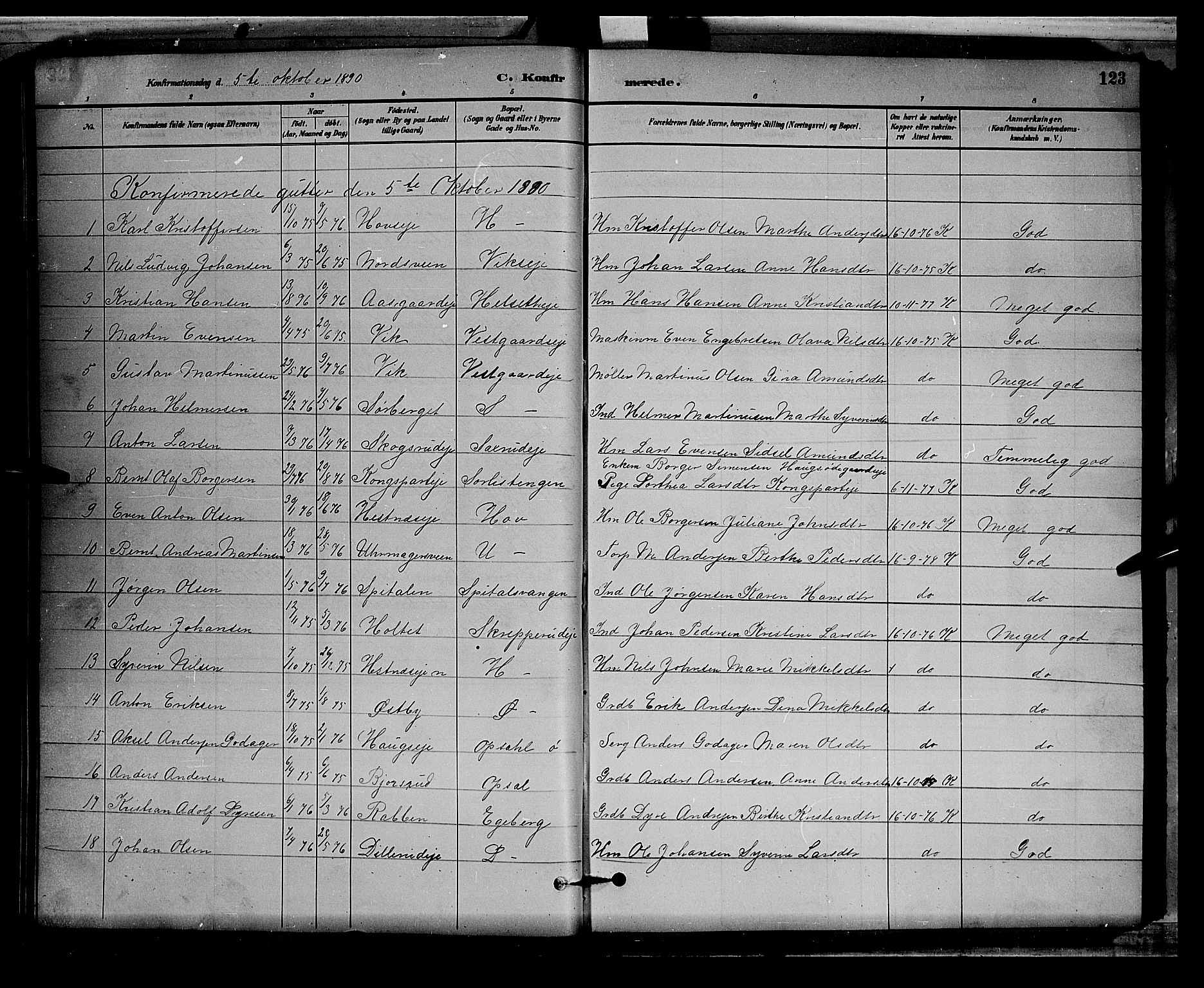 Stange prestekontor, SAH/PREST-002/L/L0008: Parish register (copy) no. 8, 1882-1895, p. 123