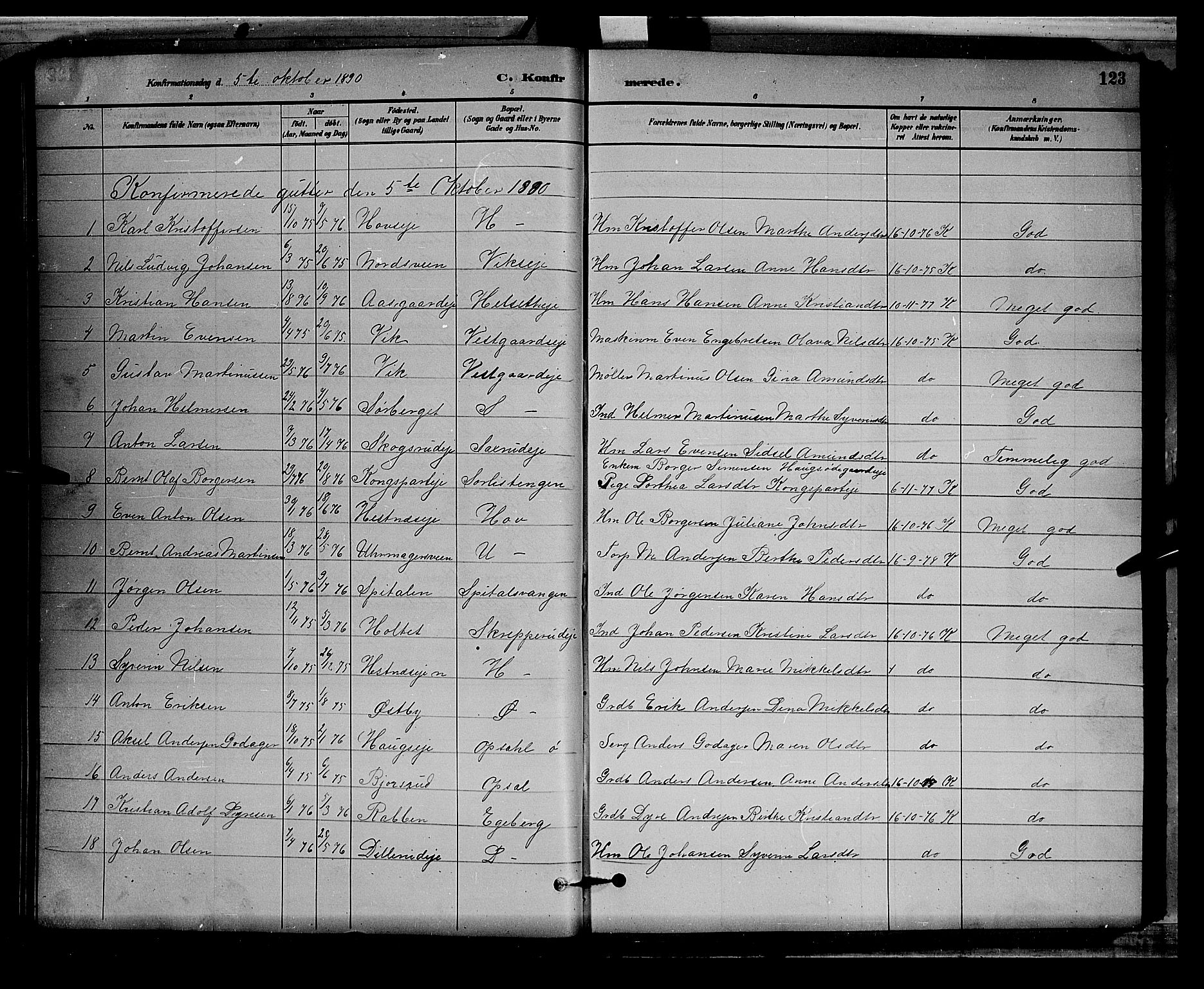 Stange prestekontor, AV/SAH-PREST-002/L/L0008: Parish register (copy) no. 8, 1882-1895, p. 123