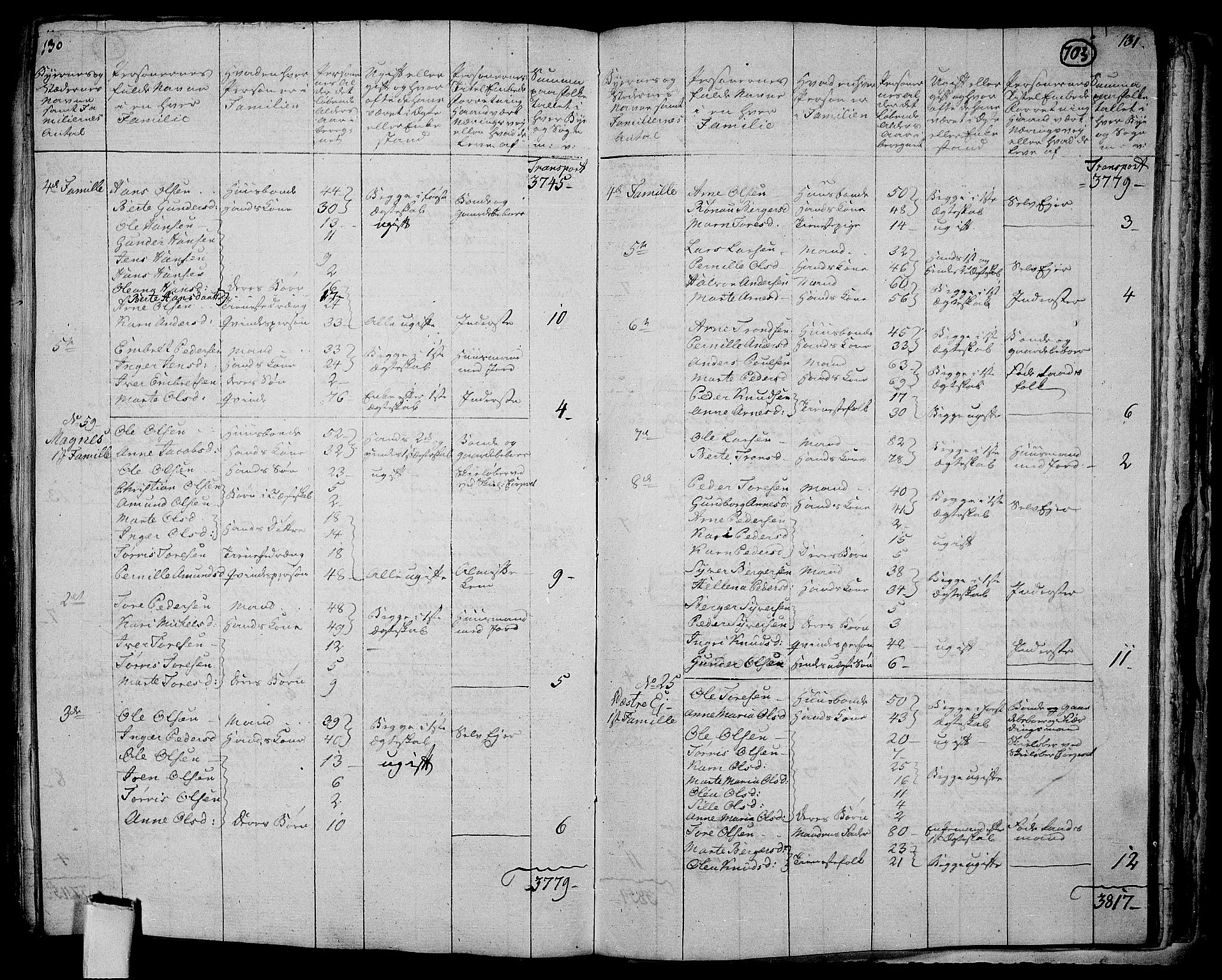 RA, 1801 census for 0424P Hof, 1801, p. 702b-703a