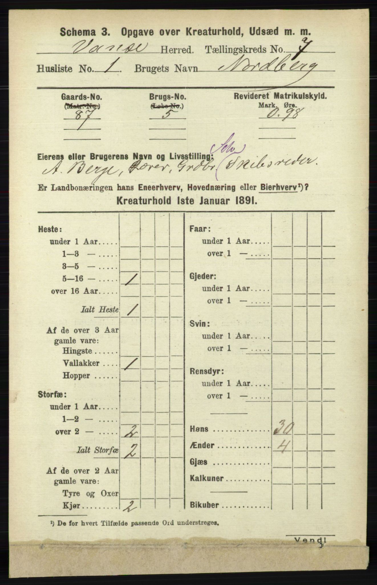 RA, 1891 census for 1041 Vanse, 1891, p. 9155