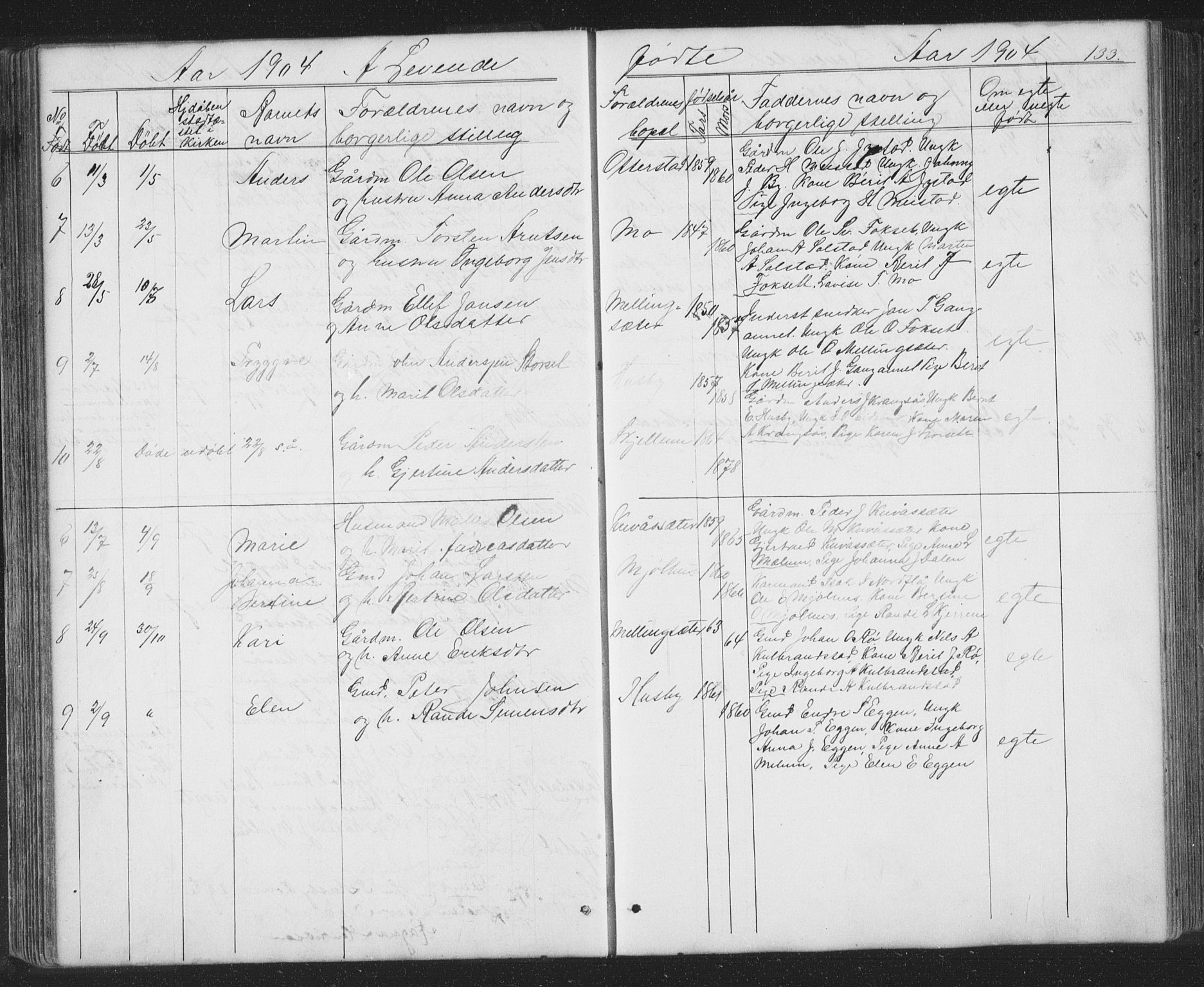 Ministerialprotokoller, klokkerbøker og fødselsregistre - Sør-Trøndelag, SAT/A-1456/667/L0798: Parish register (copy) no. 667C03, 1867-1929, p. 133