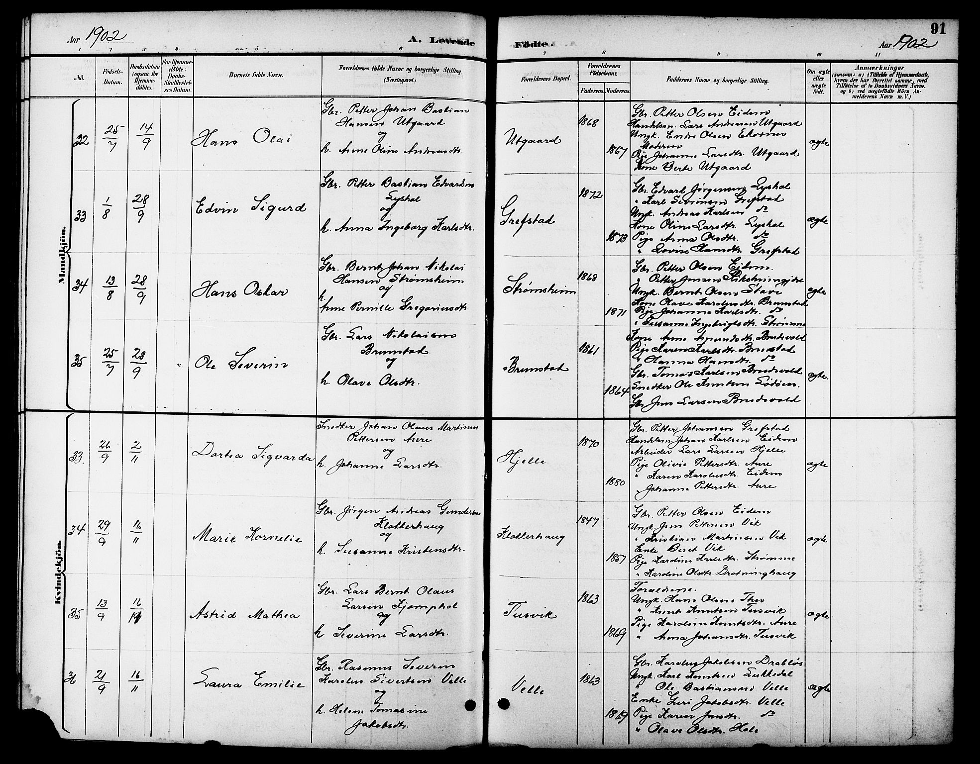 Ministerialprotokoller, klokkerbøker og fødselsregistre - Møre og Romsdal, AV/SAT-A-1454/523/L0340: Parish register (copy) no. 523C03, 1892-1902, p. 91