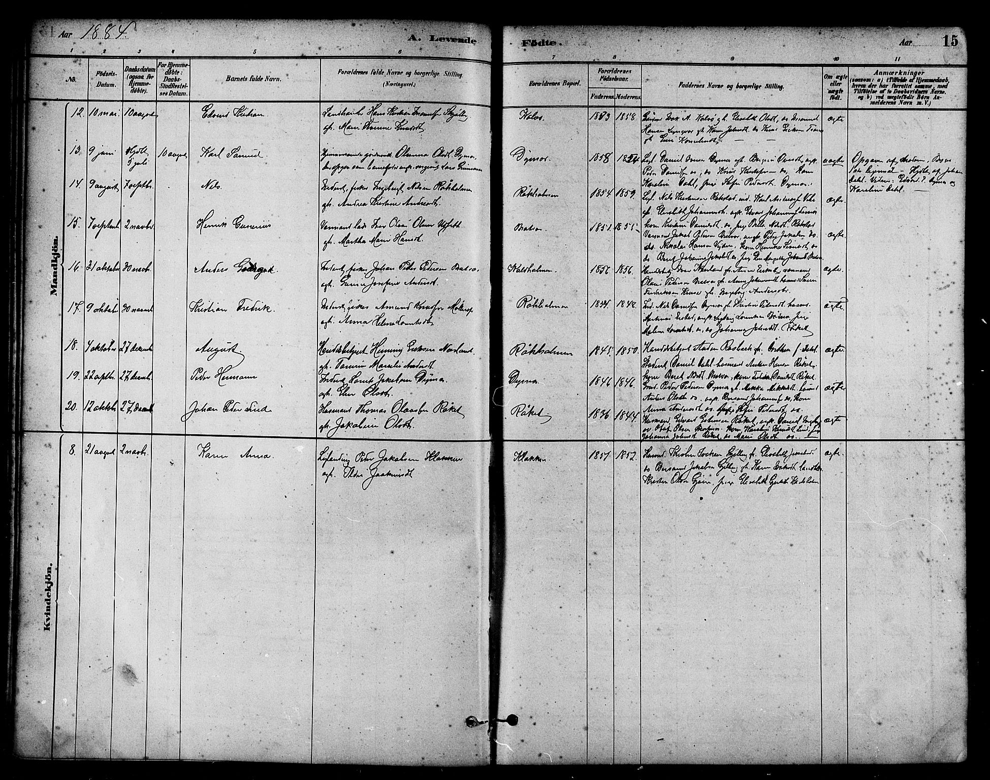 Ministerialprotokoller, klokkerbøker og fødselsregistre - Møre og Romsdal, AV/SAT-A-1454/582/L0947: Parish register (official) no. 582A01, 1880-1900, p. 15