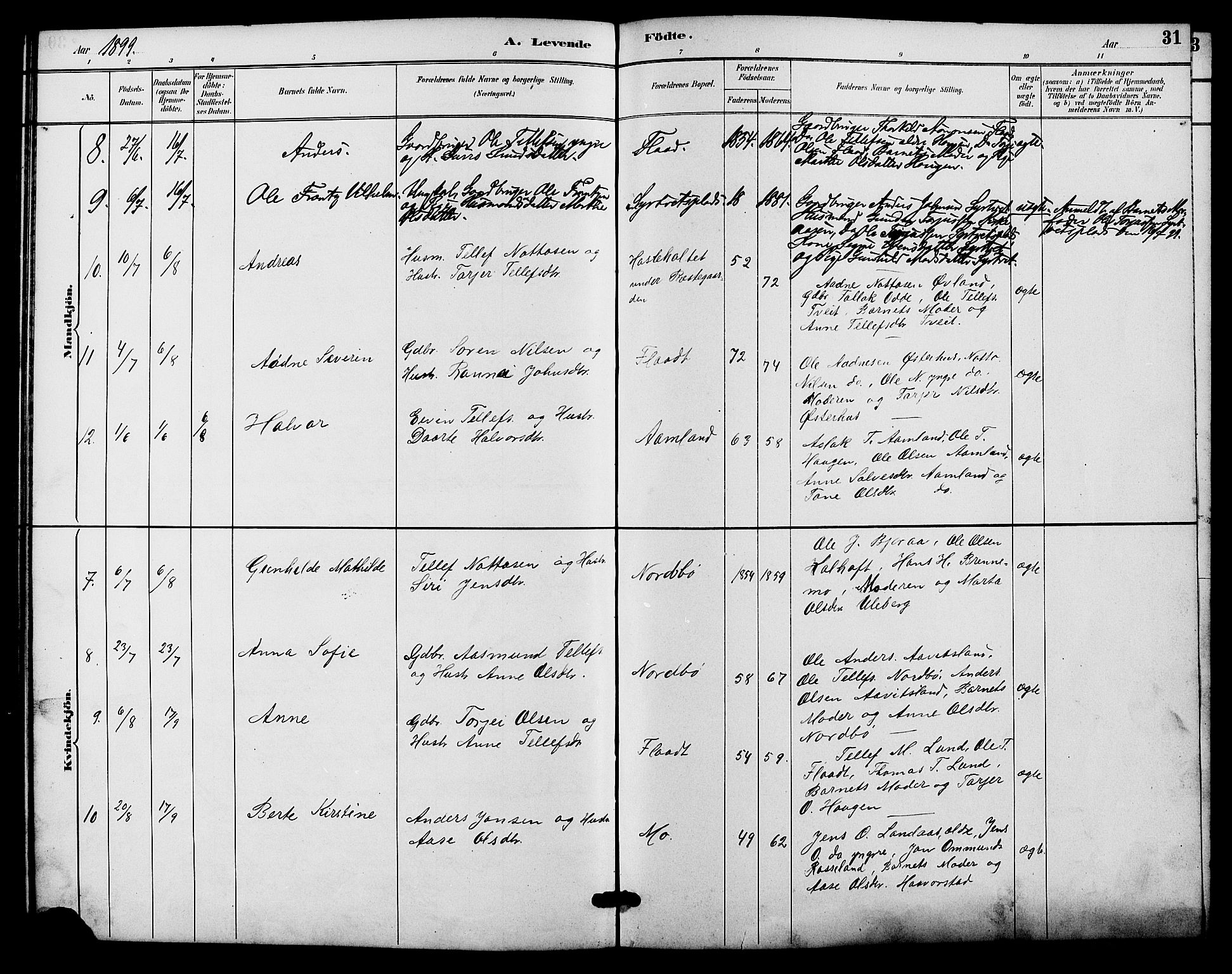 Evje sokneprestkontor, SAK/1111-0008/F/Fb/Fba/L0003: Parish register (copy) no. B 3, 1888-1903, p. 31