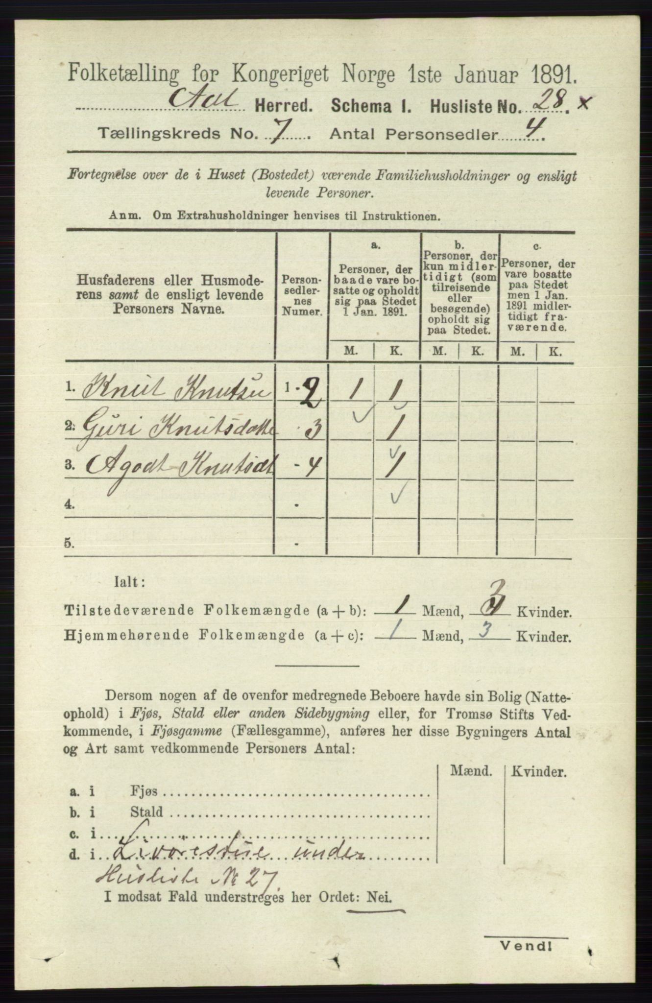 RA, 1891 census for 0619 Ål, 1891, p. 1809