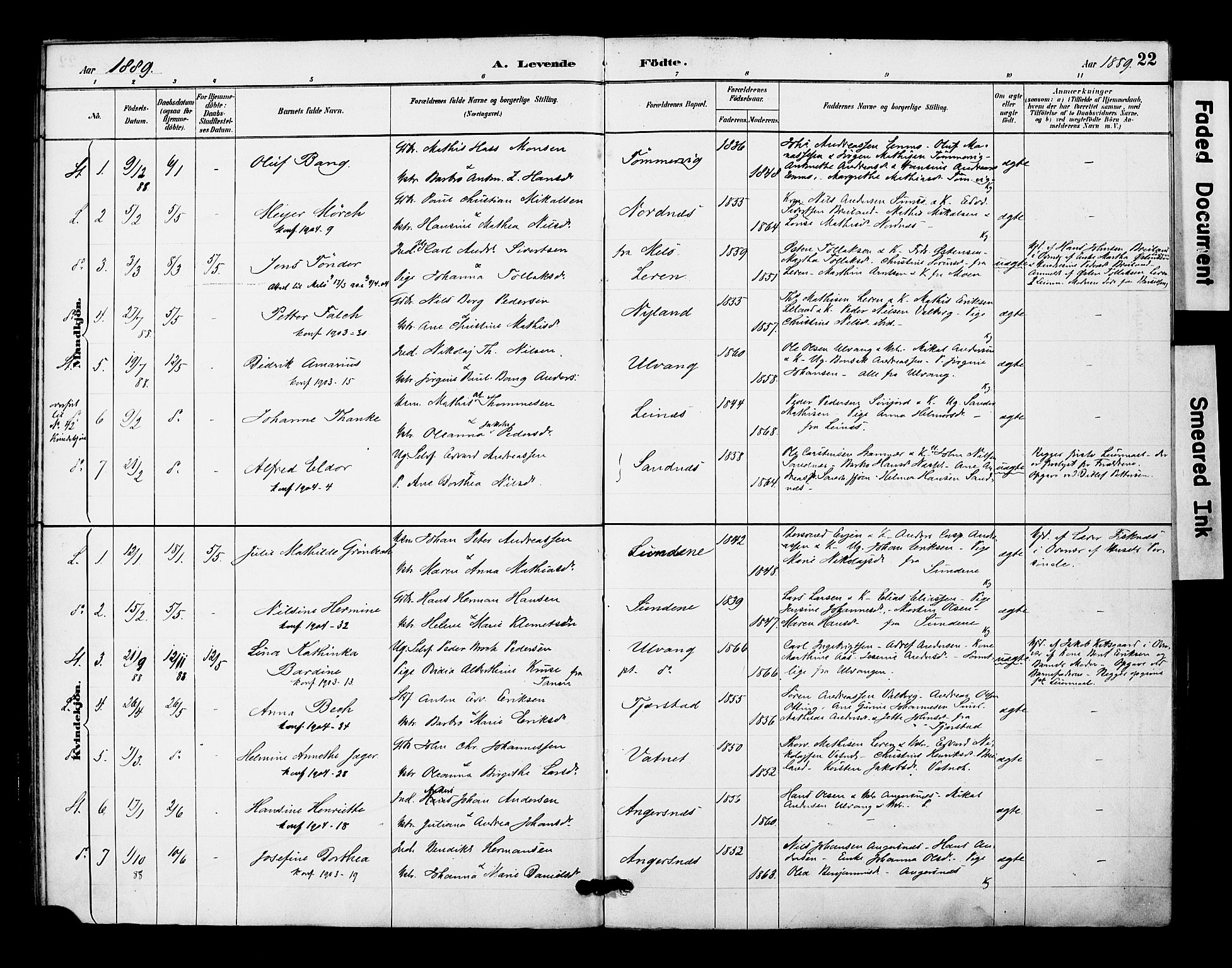 Ministerialprotokoller, klokkerbøker og fødselsregistre - Nordland, AV/SAT-A-1459/831/L0471: Parish register (official) no. 831A02, 1886-1901, p. 22