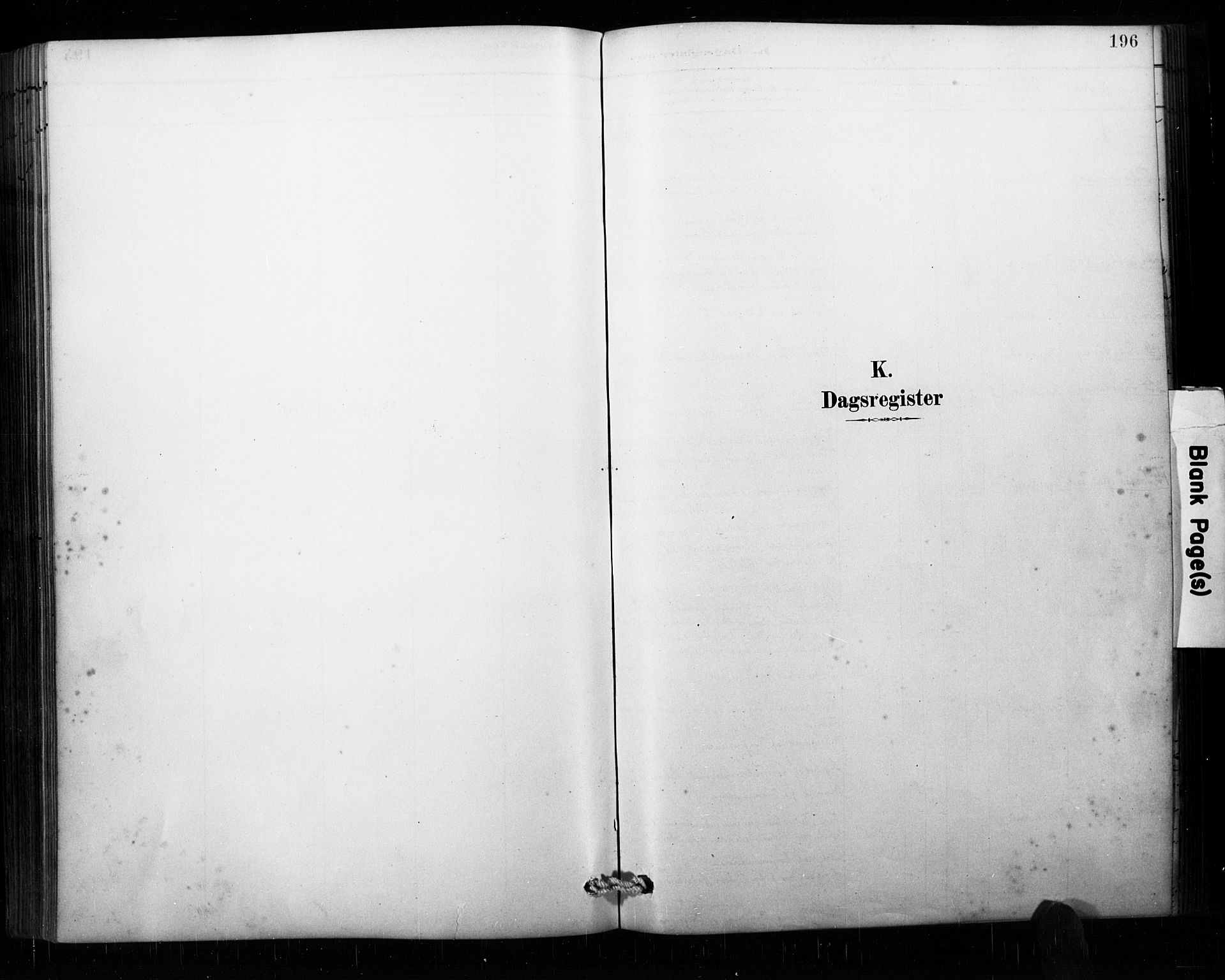 Åseral sokneprestkontor, AV/SAK-1111-0051/F/Fa/L0003: Parish register (official) no. A 3, 1884-1901, p. 196