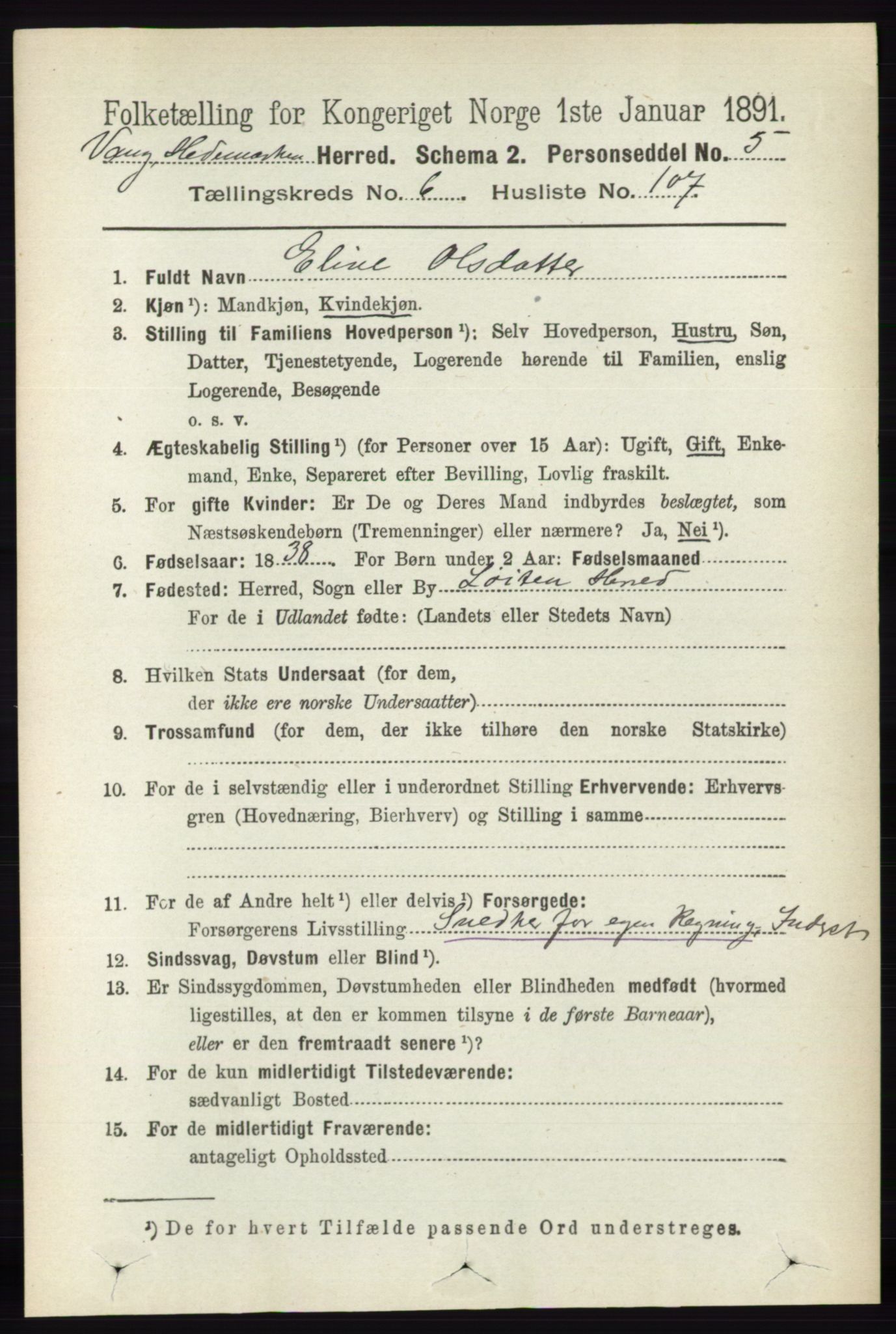 RA, 1891 census for 0414 Vang, 1891, p. 4905