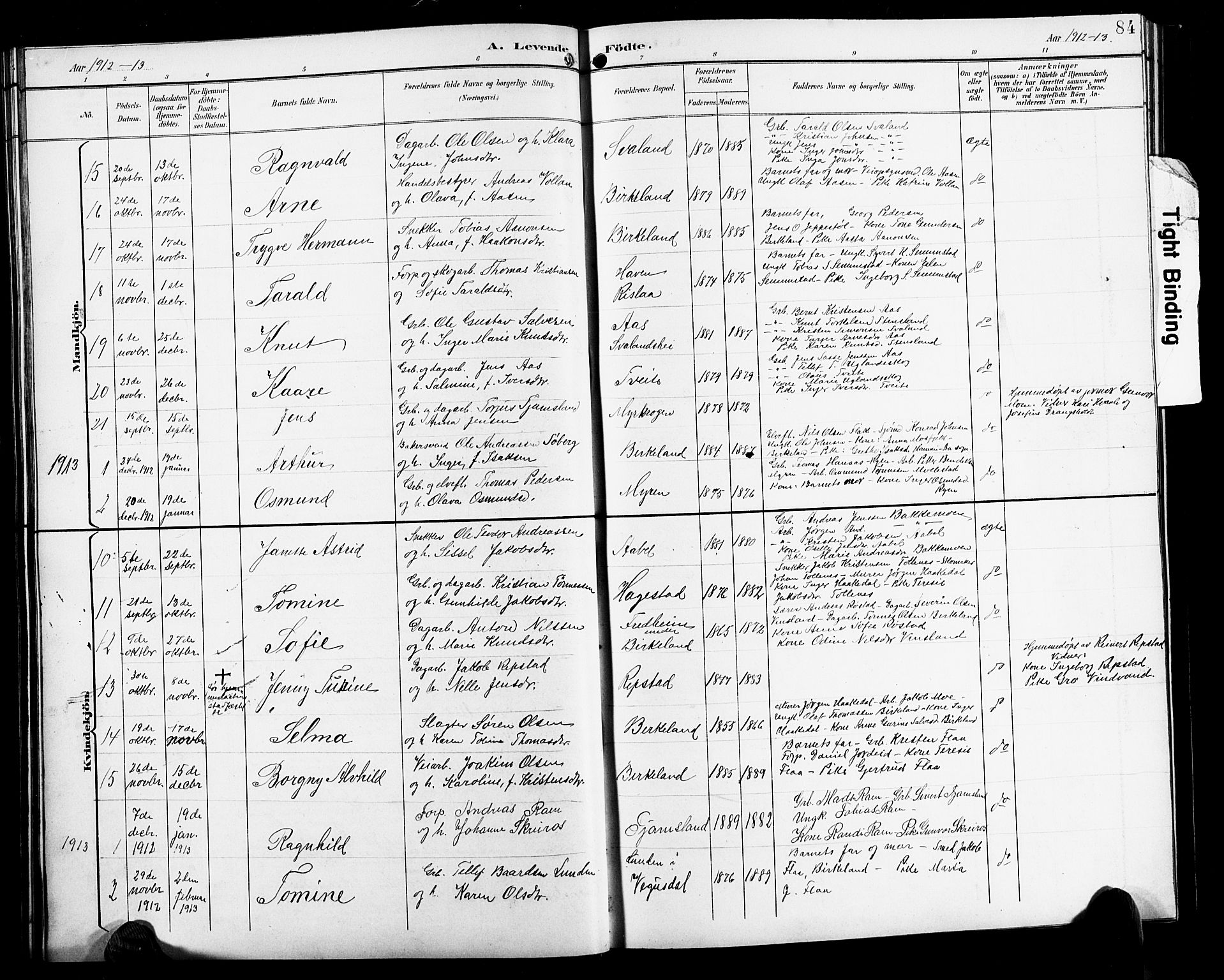 Birkenes sokneprestkontor, SAK/1111-0004/F/Fb/L0004: Parish register (copy) no. B 4, 1893-1930, p. 84