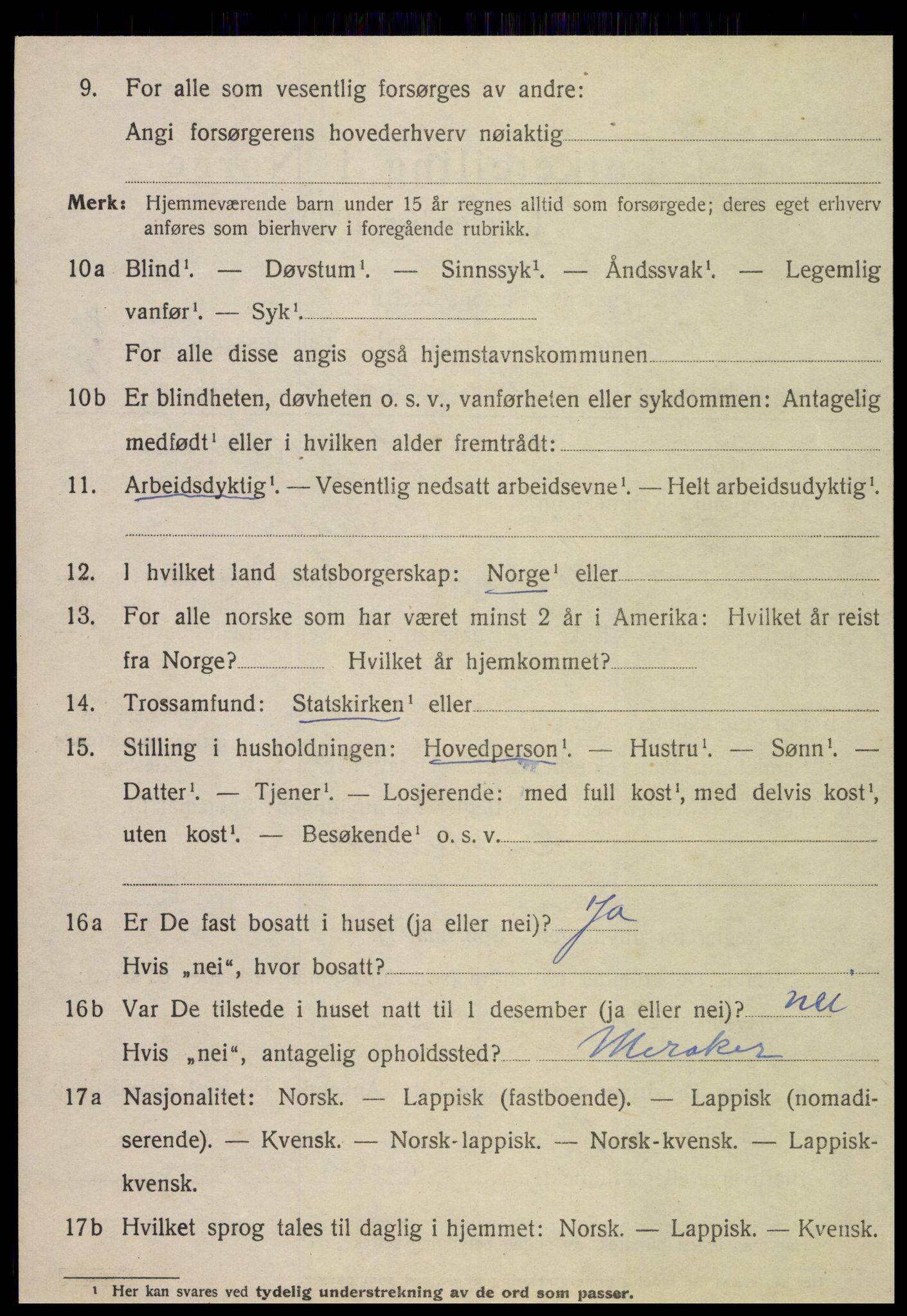 SAT, 1920 census for Meråker, 1920, p. 6215