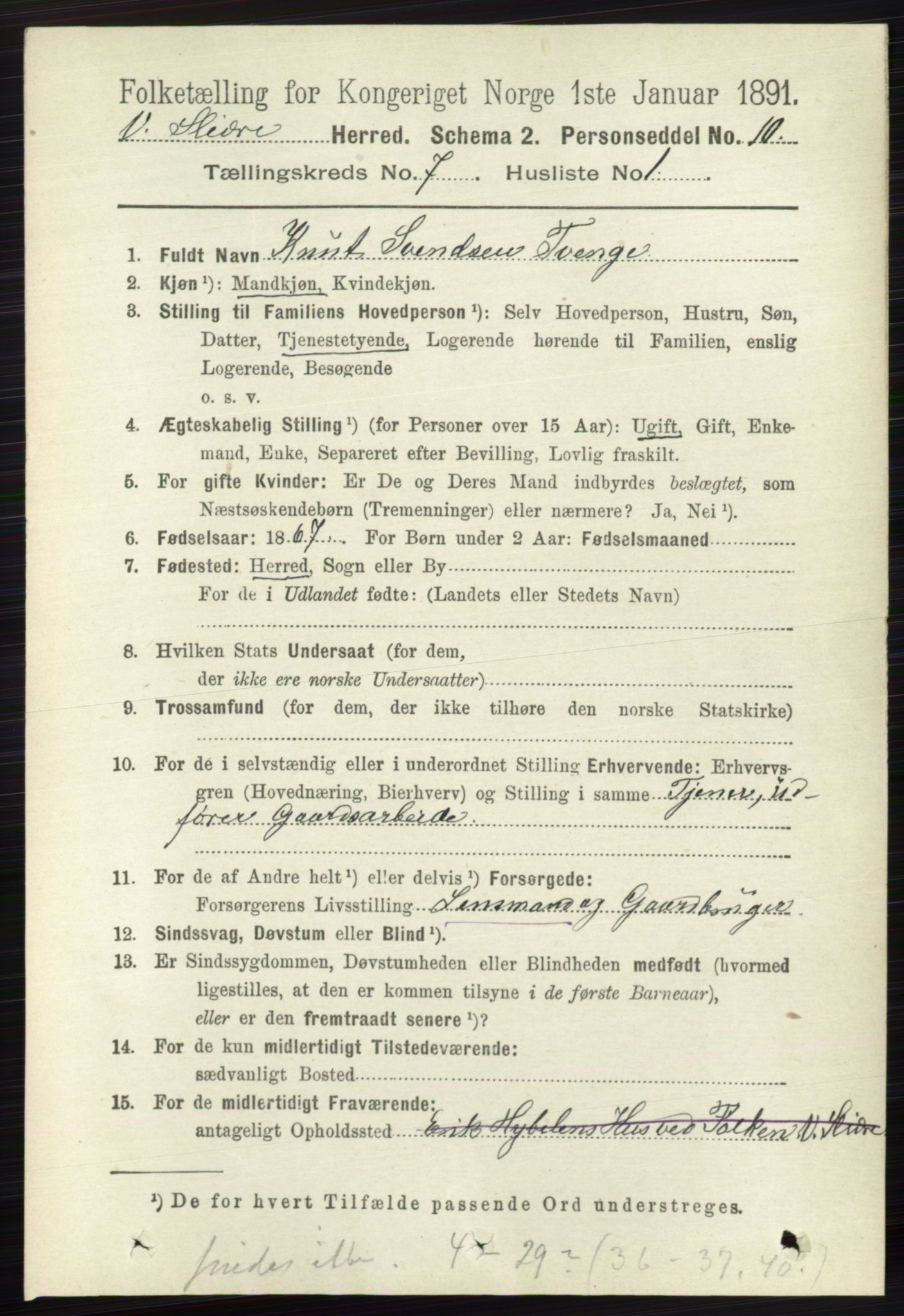 RA, 1891 census for 0543 Vestre Slidre, 1891, p. 2582