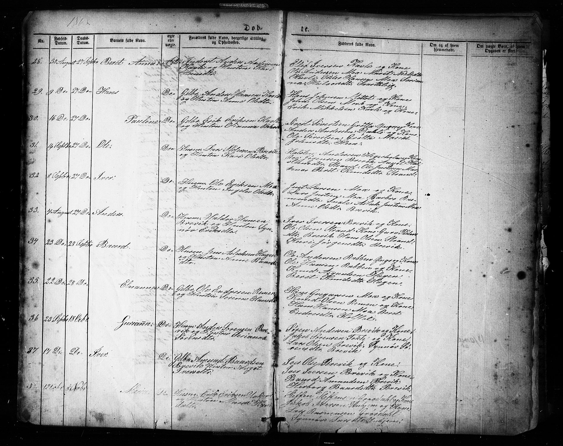 Ministerialprotokoller, klokkerbøker og fødselsregistre - Møre og Romsdal, AV/SAT-A-1454/545/L0588: Parish register (copy) no. 545C02, 1867-1902, p. 8