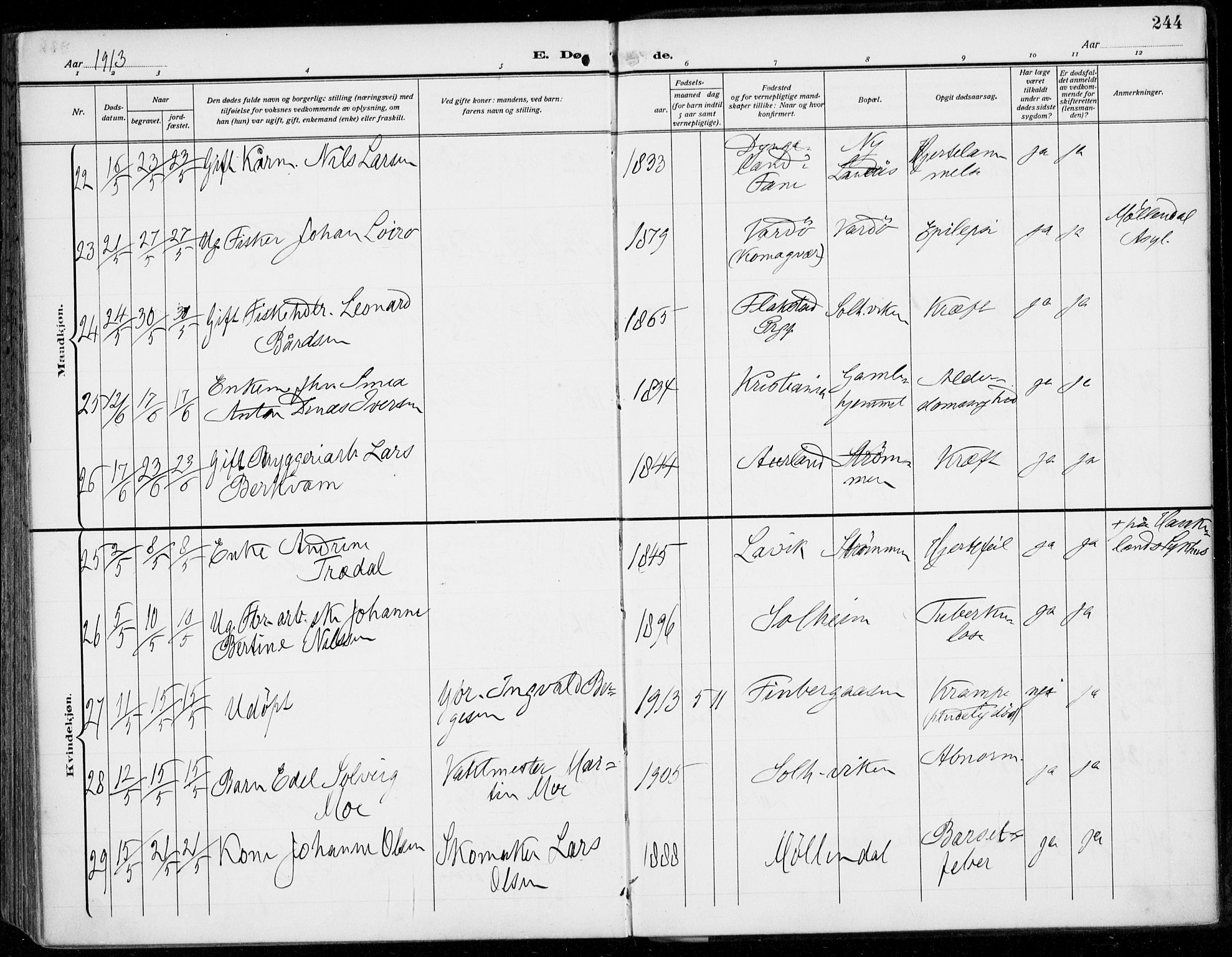 Årstad Sokneprestembete, AV/SAB-A-79301/H/Haa/L0009: Parish register (official) no. C 1, 1902-1918, p. 244