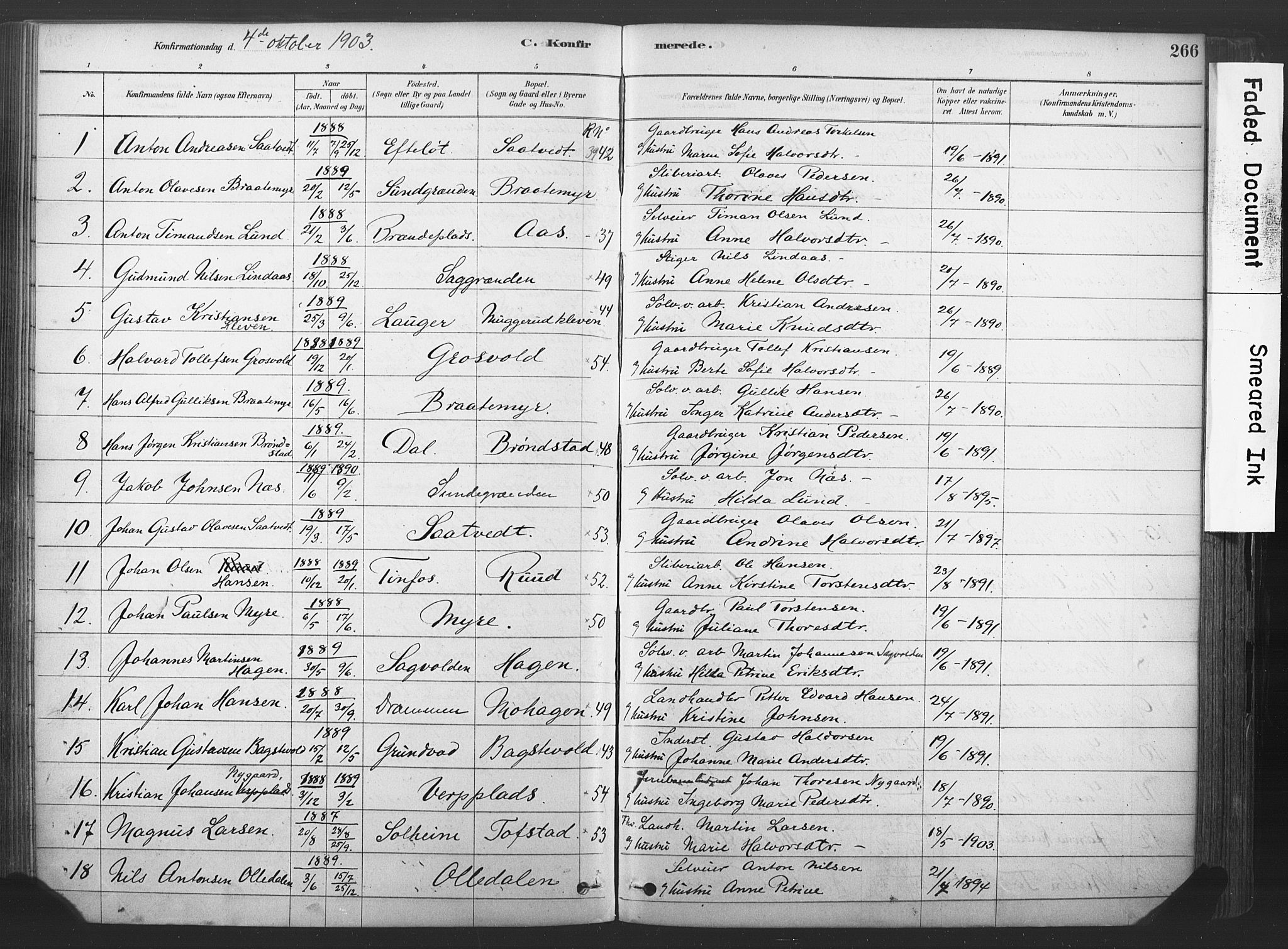 Sandsvær kirkebøker, AV/SAKO-A-244/F/Fd/L0001: Parish register (official) no. IV 1, 1878-1906, p. 266