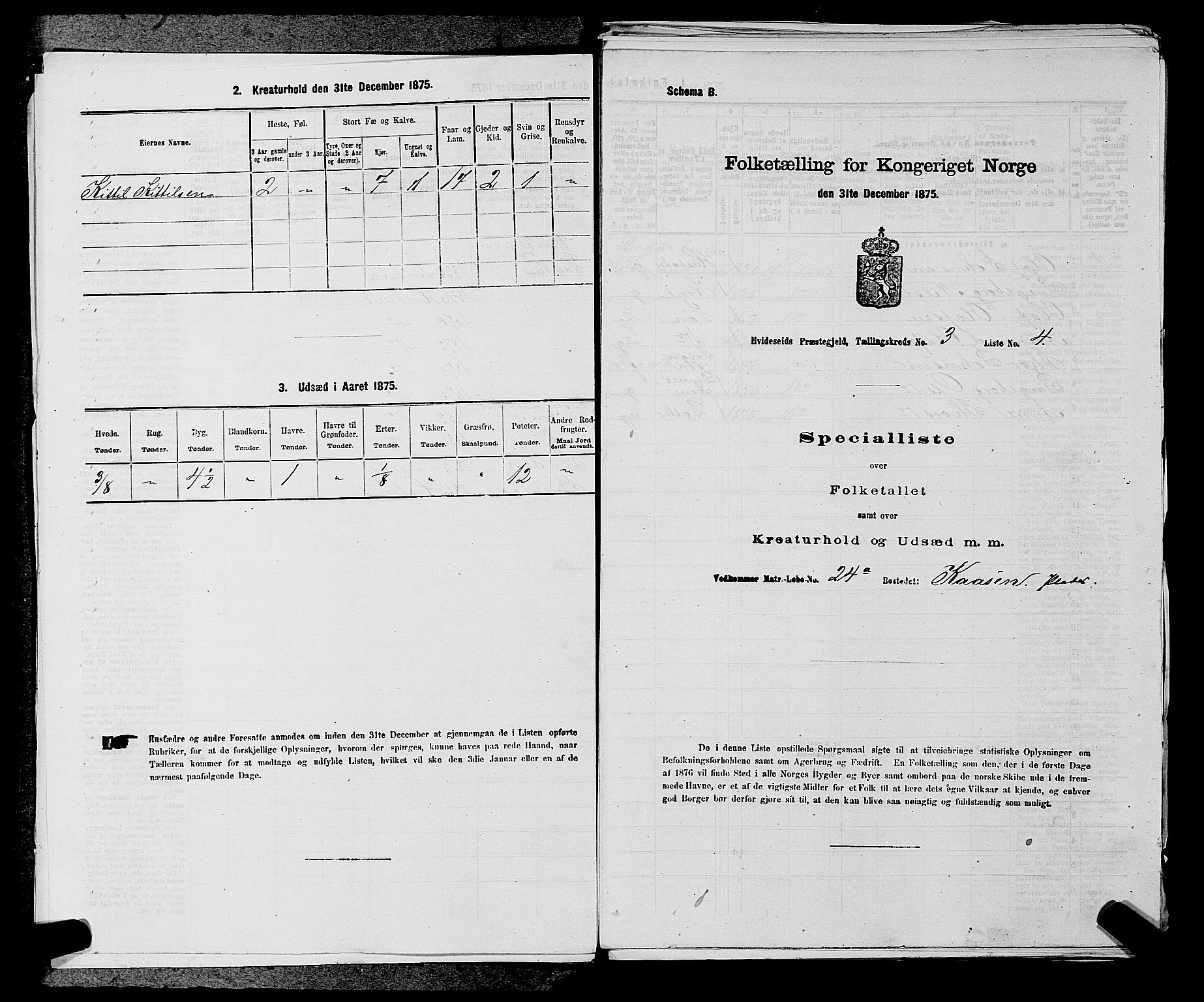 SAKO, 1875 census for 0829P Kviteseid, 1875, p. 285