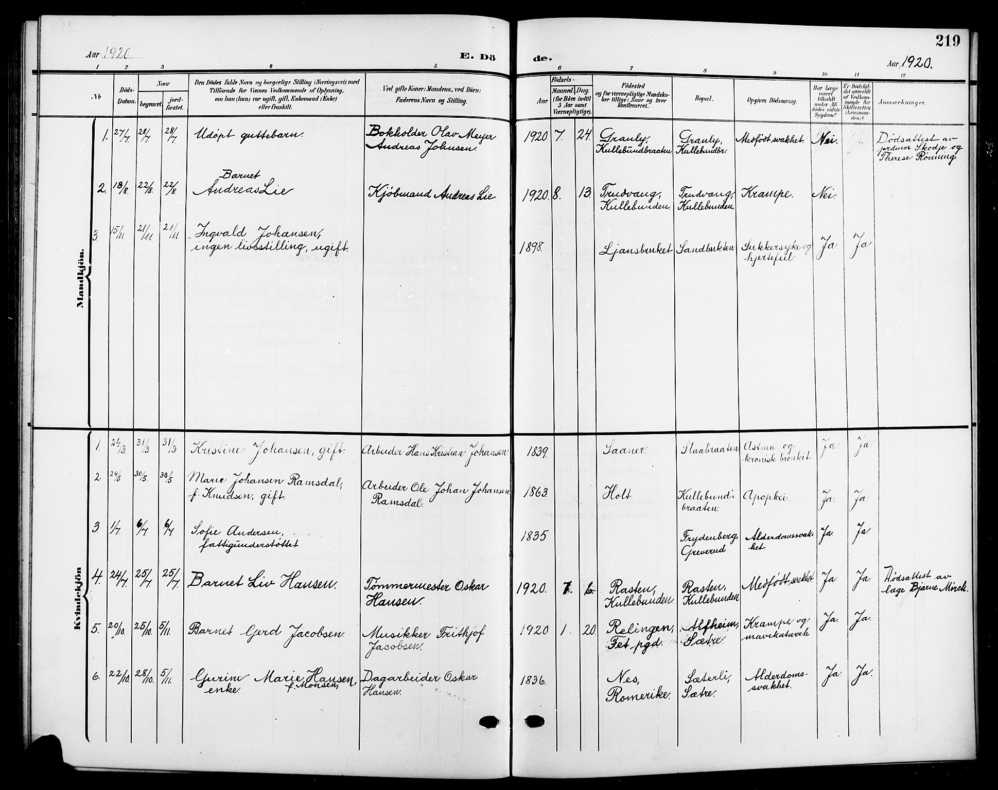 Nesodden prestekontor Kirkebøker, SAO/A-10013/G/Gb/L0001: Parish register (copy) no. II 1, 1905-1924, p. 219