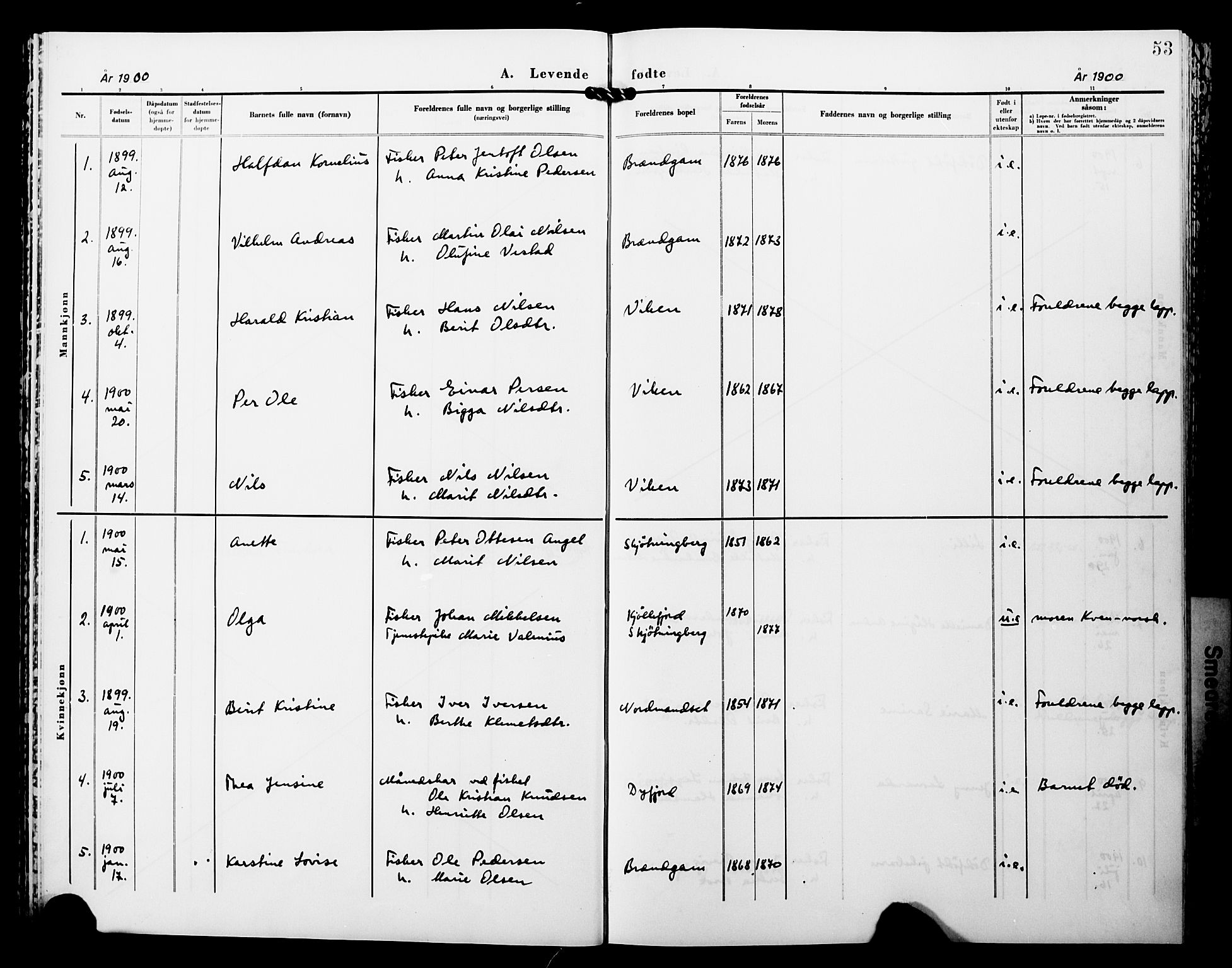 Lebesby sokneprestkontor, SATØ/S-1353/H/Ha/L0005kirke: Parish register (official) no. 5, 1870-1902, p. 53