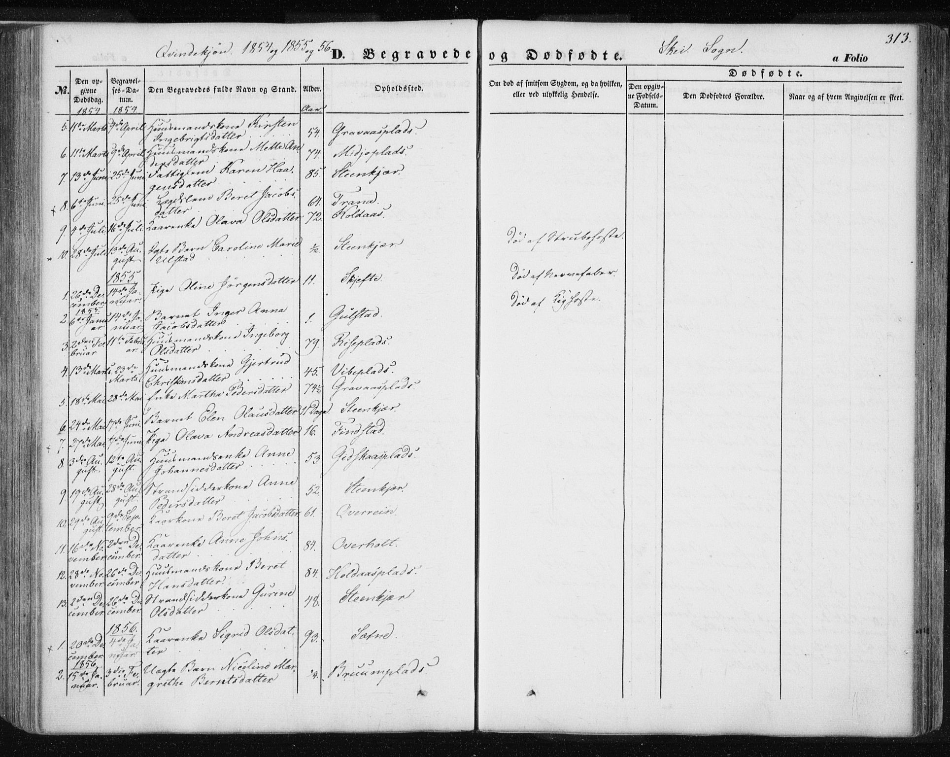 Ministerialprotokoller, klokkerbøker og fødselsregistre - Nord-Trøndelag, SAT/A-1458/735/L0342: Parish register (official) no. 735A07 /2, 1849-1862, p. 313