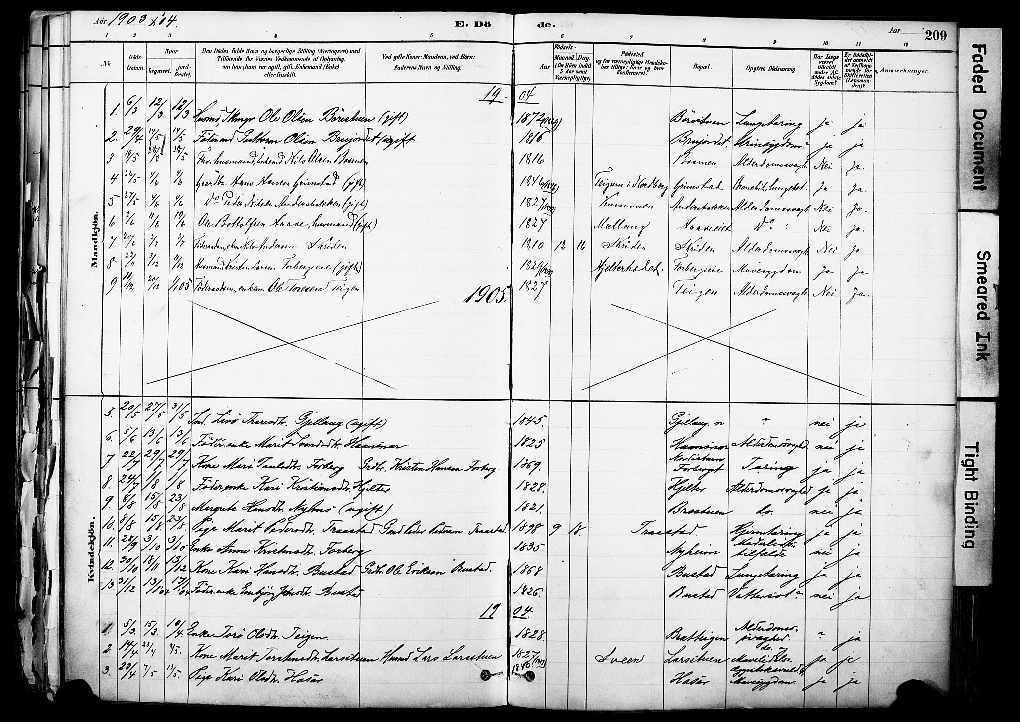 Skjåk prestekontor, SAH/PREST-072/H/Ha/Haa/L0003: Parish register (official) no. 3, 1880-1907, p. 209