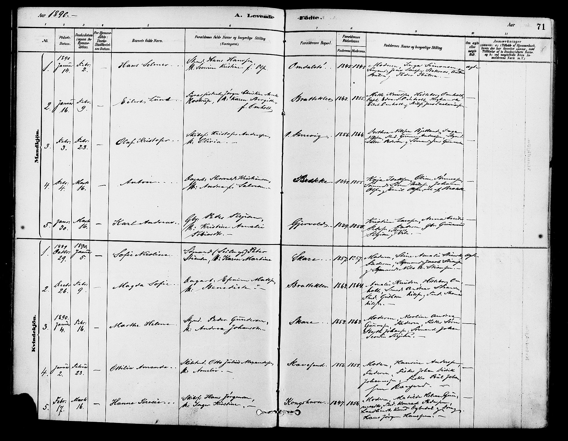 Tromøy sokneprestkontor, AV/SAK-1111-0041/F/Fa/L0009: Parish register (official) no. A 9, 1878-1896, p. 71