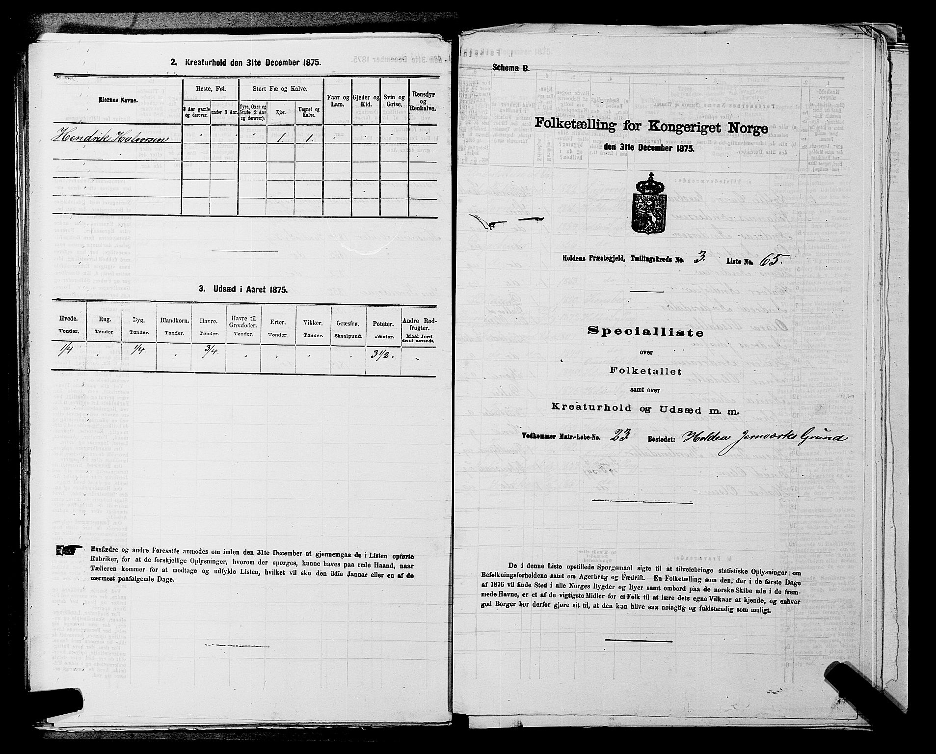 SAKO, 1875 census for 0819P Holla, 1875, p. 414