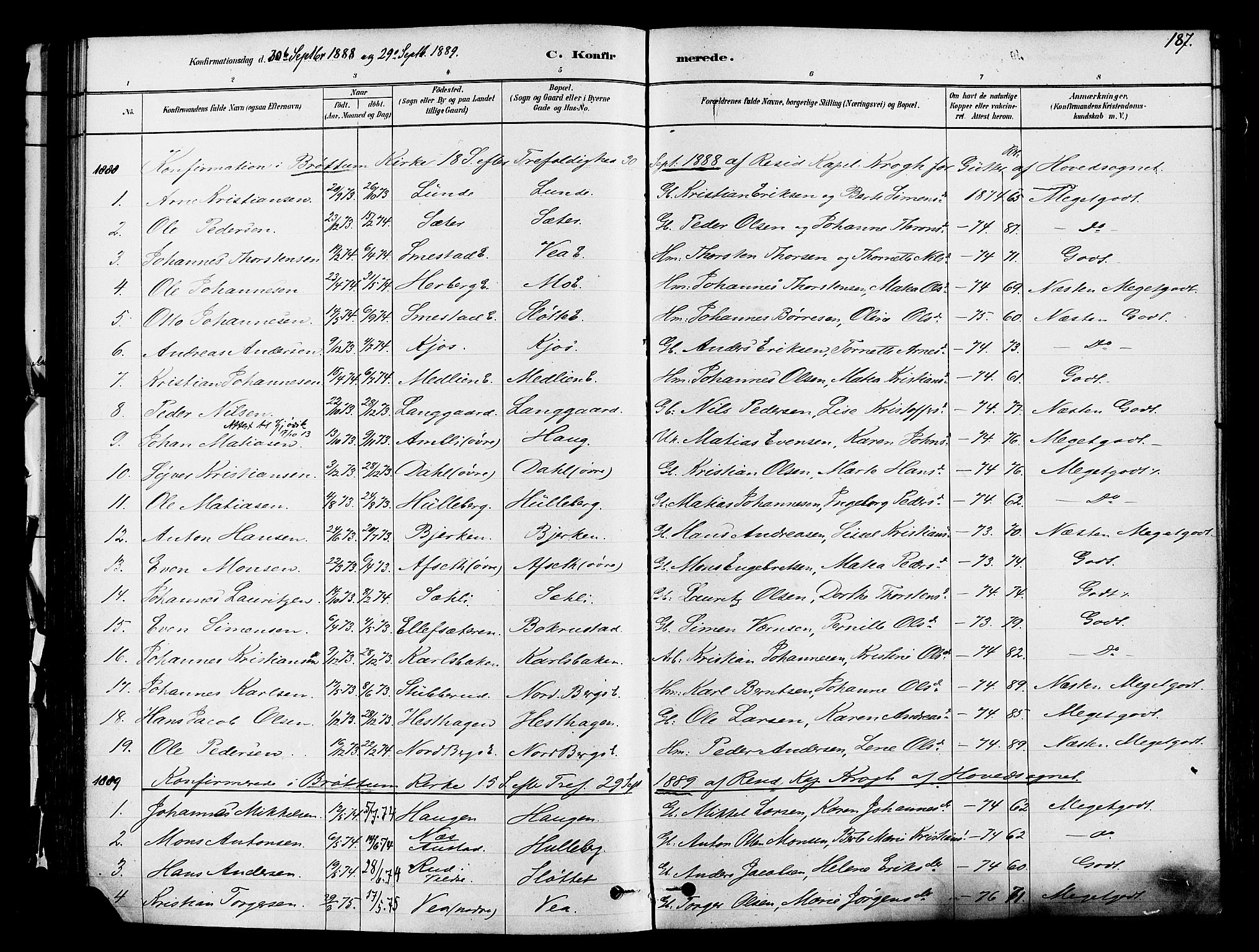 Ringsaker prestekontor, SAH/PREST-014/K/Ka/L0012: Parish register (official) no. 12, 1879-1890, p. 187