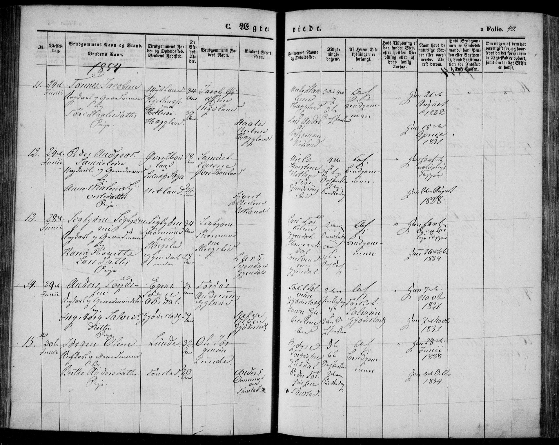 Bakke sokneprestkontor, SAK/1111-0002/F/Fa/Faa/L0005: Parish register (official) no. A 5, 1847-1855, p. 43