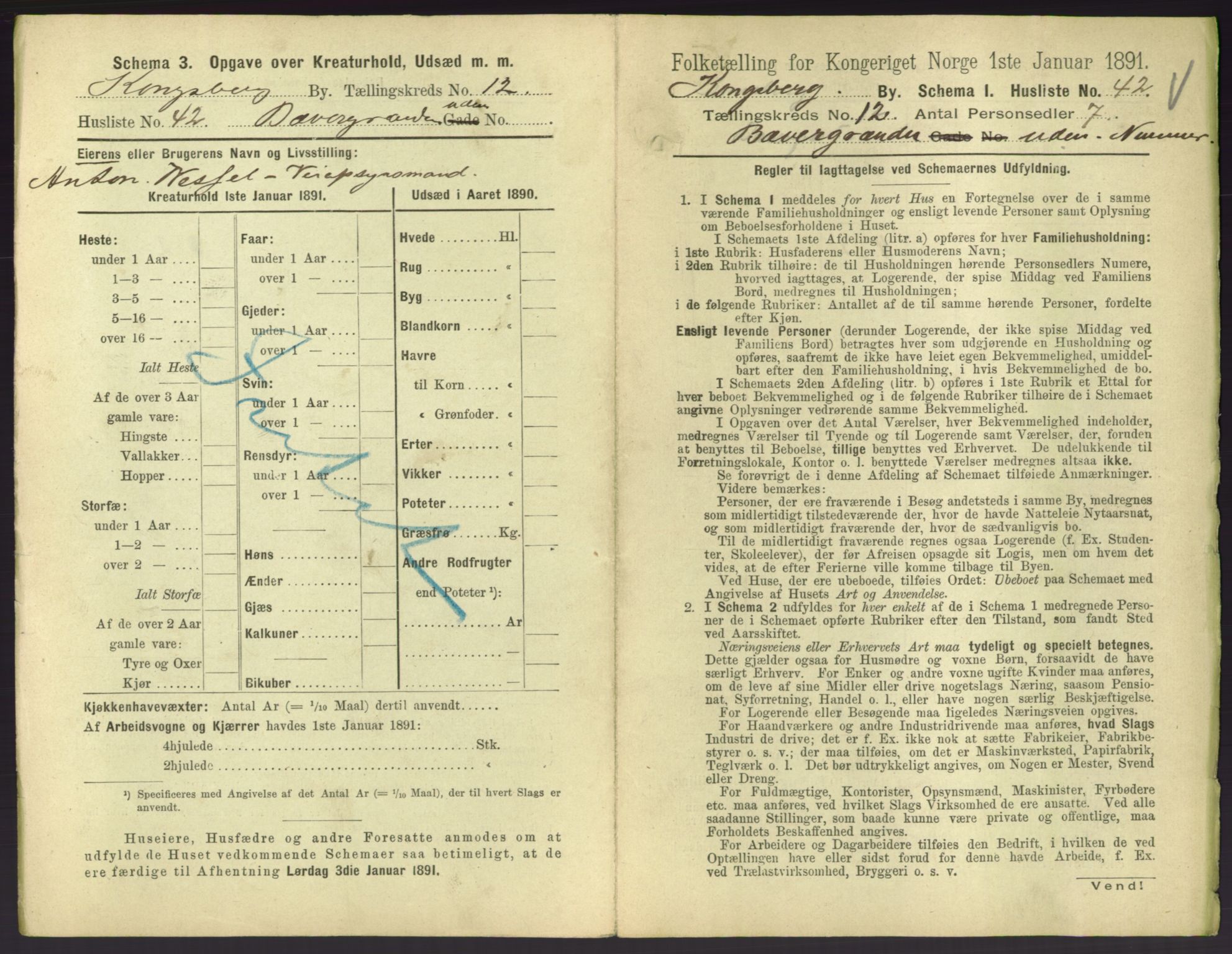 RA, 1891 census for 0604 Kongsberg, 1891, p. 1587