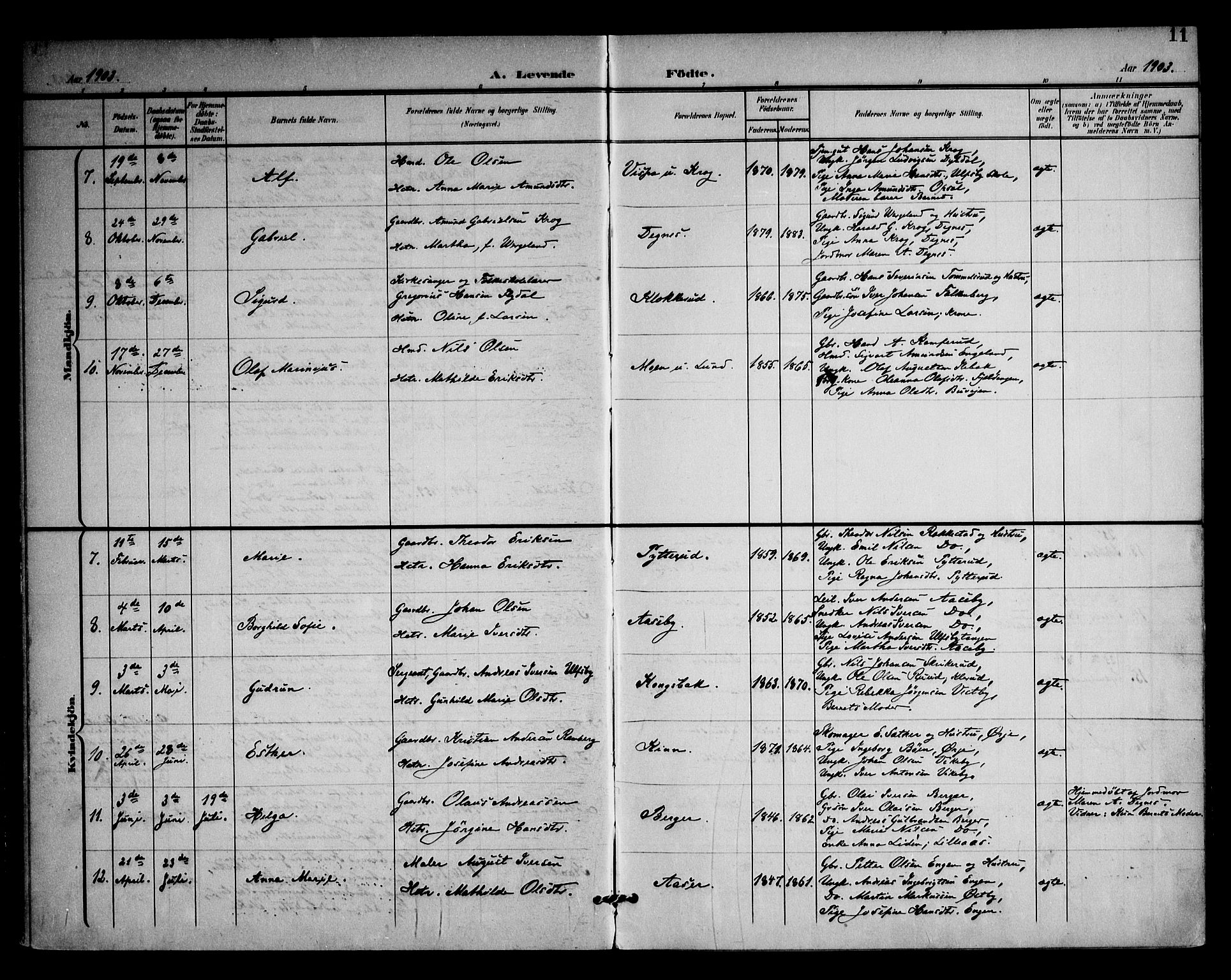 Rødenes prestekontor Kirkebøker, AV/SAO-A-2005/F/Fa/L0011: Parish register (official) no. I 11, 1901-1910, p. 11