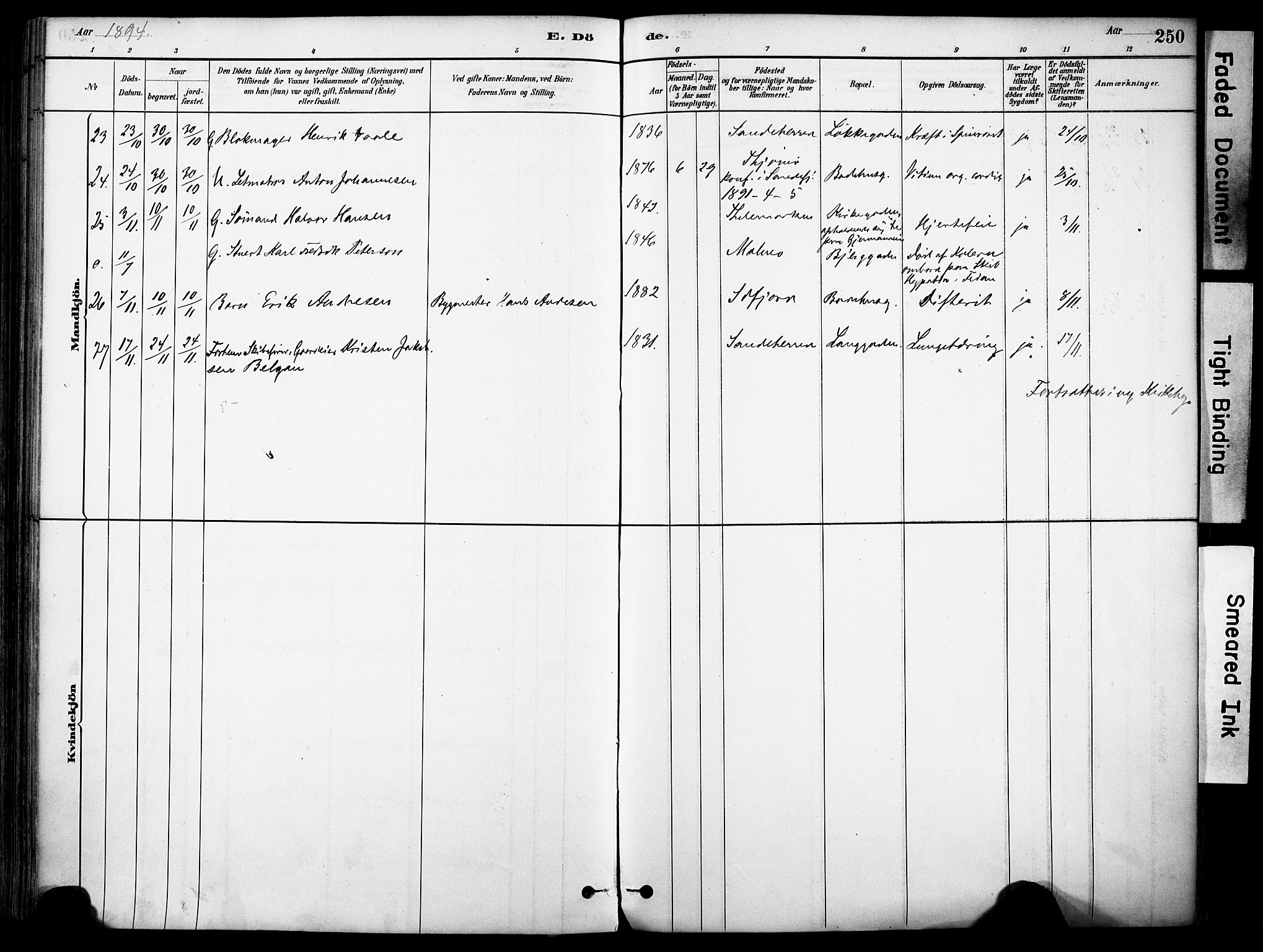 Sandefjord kirkebøker, AV/SAKO-A-315/F/Fa/L0002: Parish register (official) no. 2, 1880-1894, p. 250