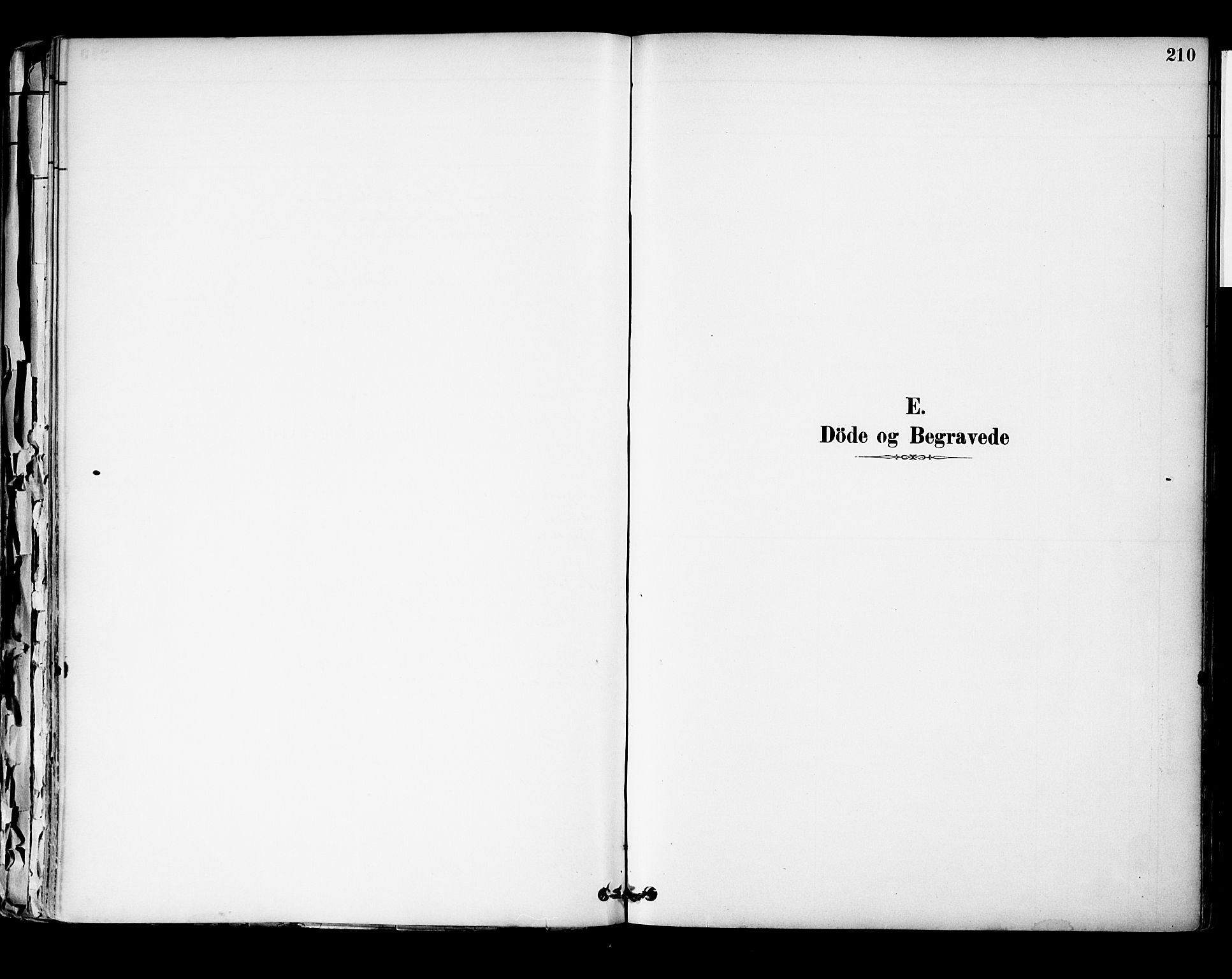 Hurum kirkebøker, SAKO/A-229/F/Fa/L0014: Parish register (official) no. 14, 1882-1895, p. 210