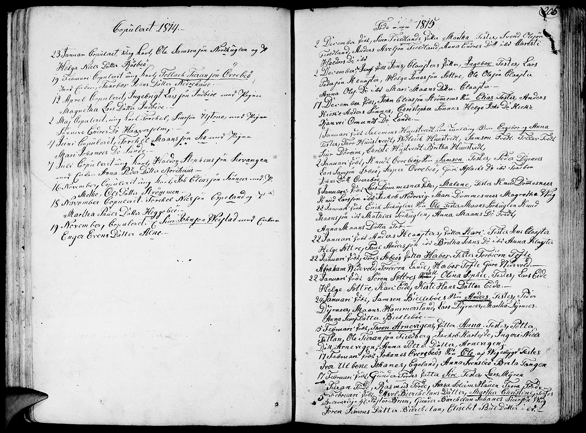 Fjelberg sokneprestembete, SAB/A-75201/H/Haa: Parish register (official) no. A 3, 1788-1815, p. 205