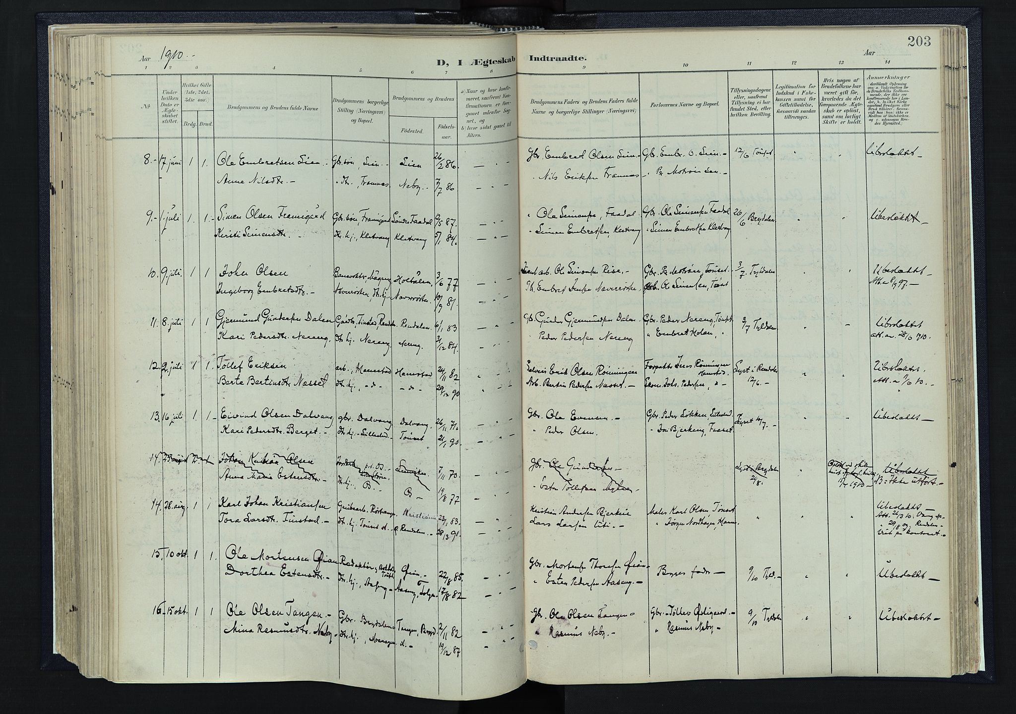 Tynset prestekontor, SAH/PREST-058/H/Ha/Haa/L0025: Parish register (official) no. 25, 1900-1914, p. 203