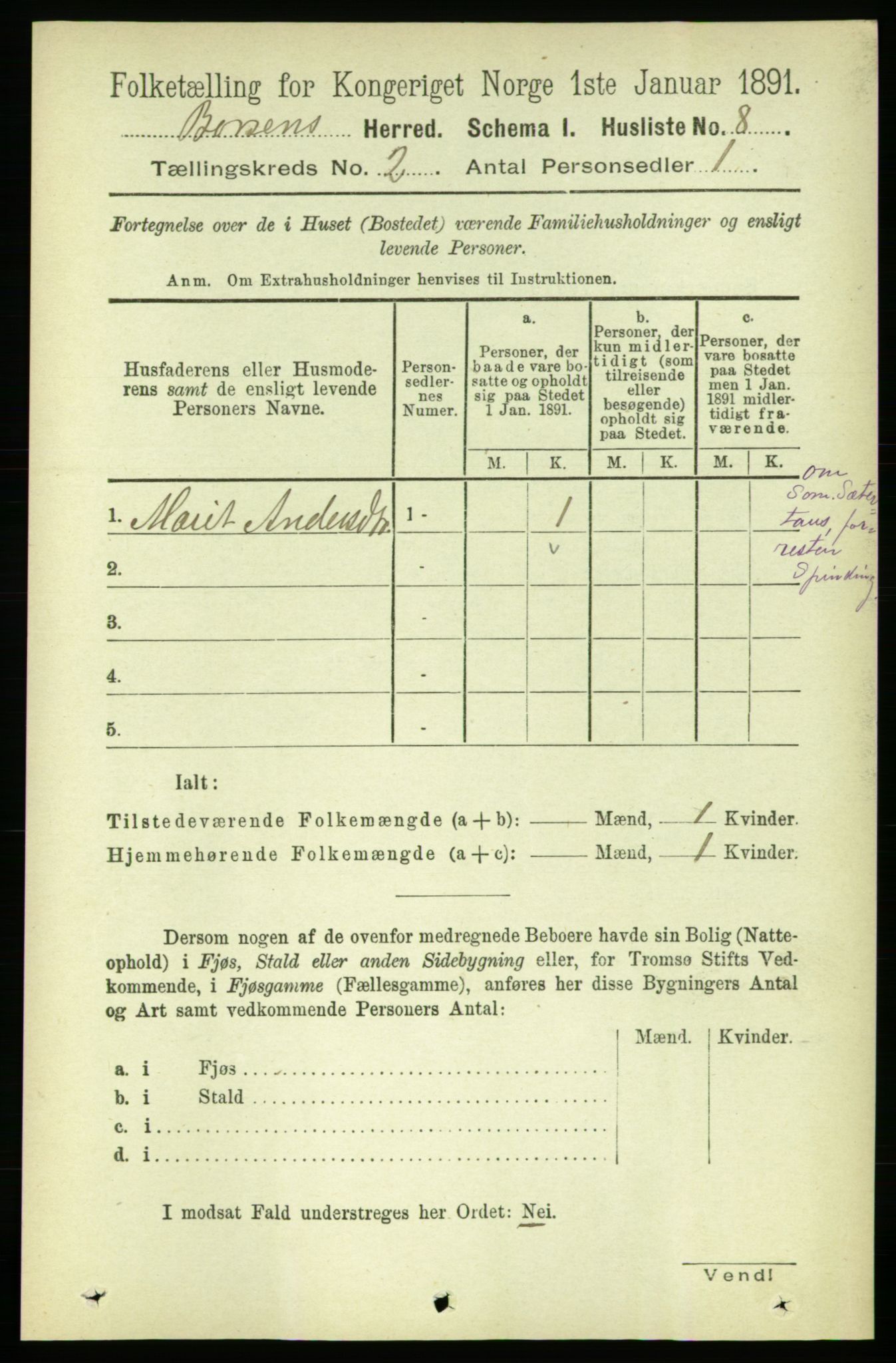 RA, 1891 census for 1658 Børsa, 1891, p. 462