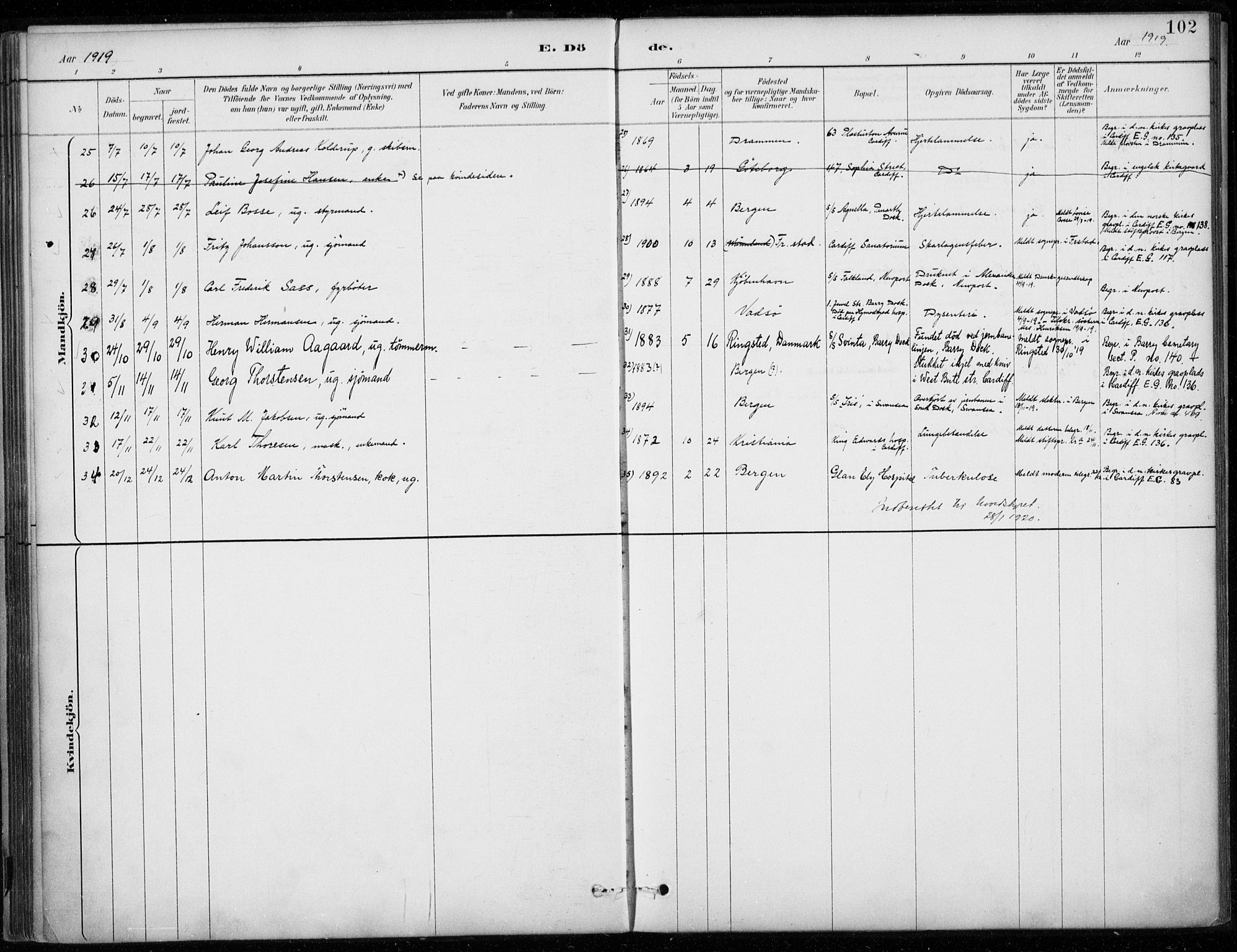 Den norske sjømannsmisjon i utlandet/Bristolhavnene(Cardiff-Swansea), SAB/SAB/PA-0102/H/Ha/Haa/L0002: Parish register (official) no. A 2, 1887-1932, p. 102