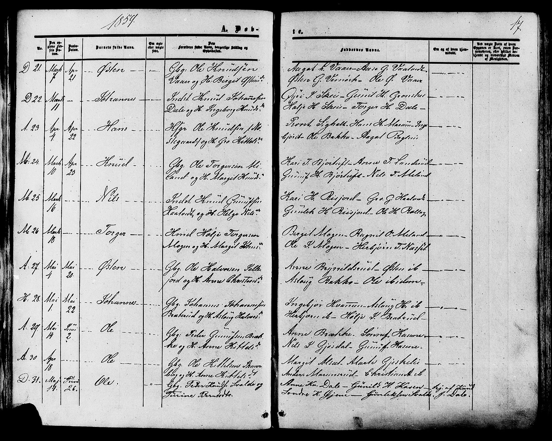 Tinn kirkebøker, SAKO/A-308/F/Fa/L0006: Parish register (official) no. I 6, 1857-1878, p. 17