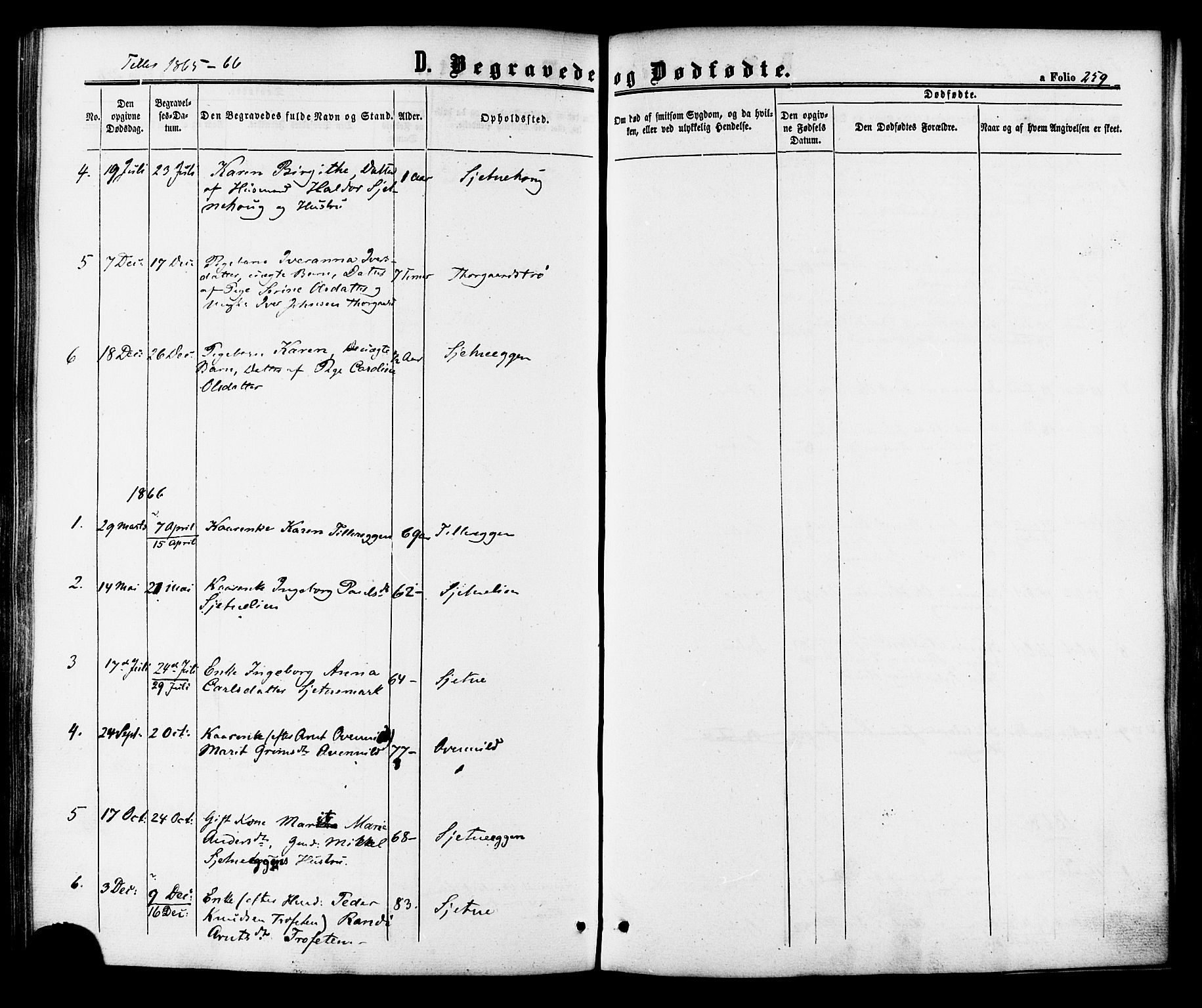 Ministerialprotokoller, klokkerbøker og fødselsregistre - Sør-Trøndelag, AV/SAT-A-1456/618/L0443: Parish register (official) no. 618A06 /2, 1863-1879, p. 259