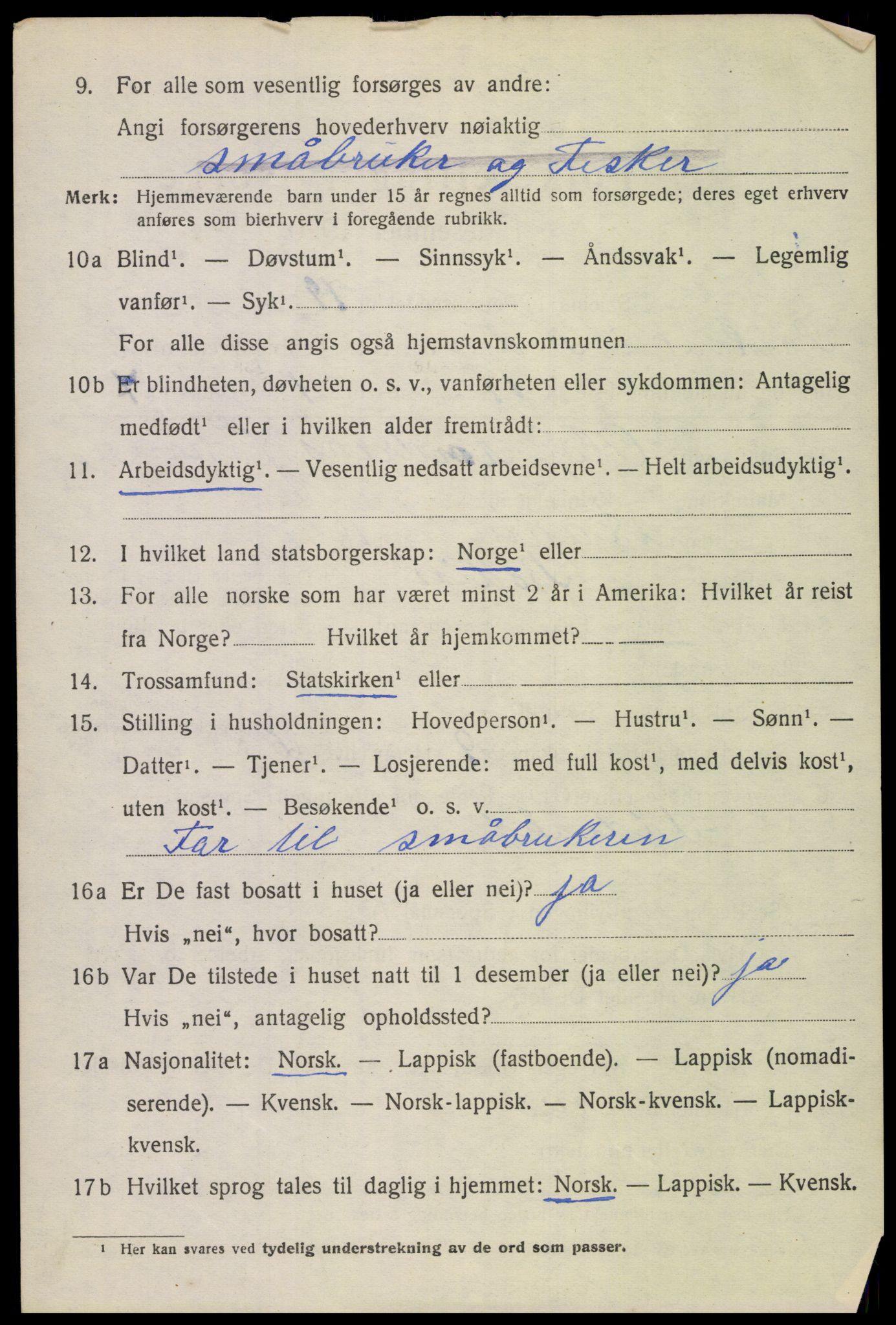 SAT, 1920 census for Bodin, 1920, p. 2101