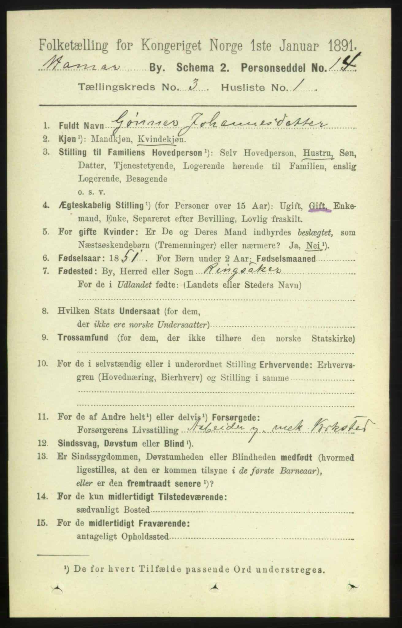 RA, 1891 census for 0401 Hamar, 1891, p. 1678