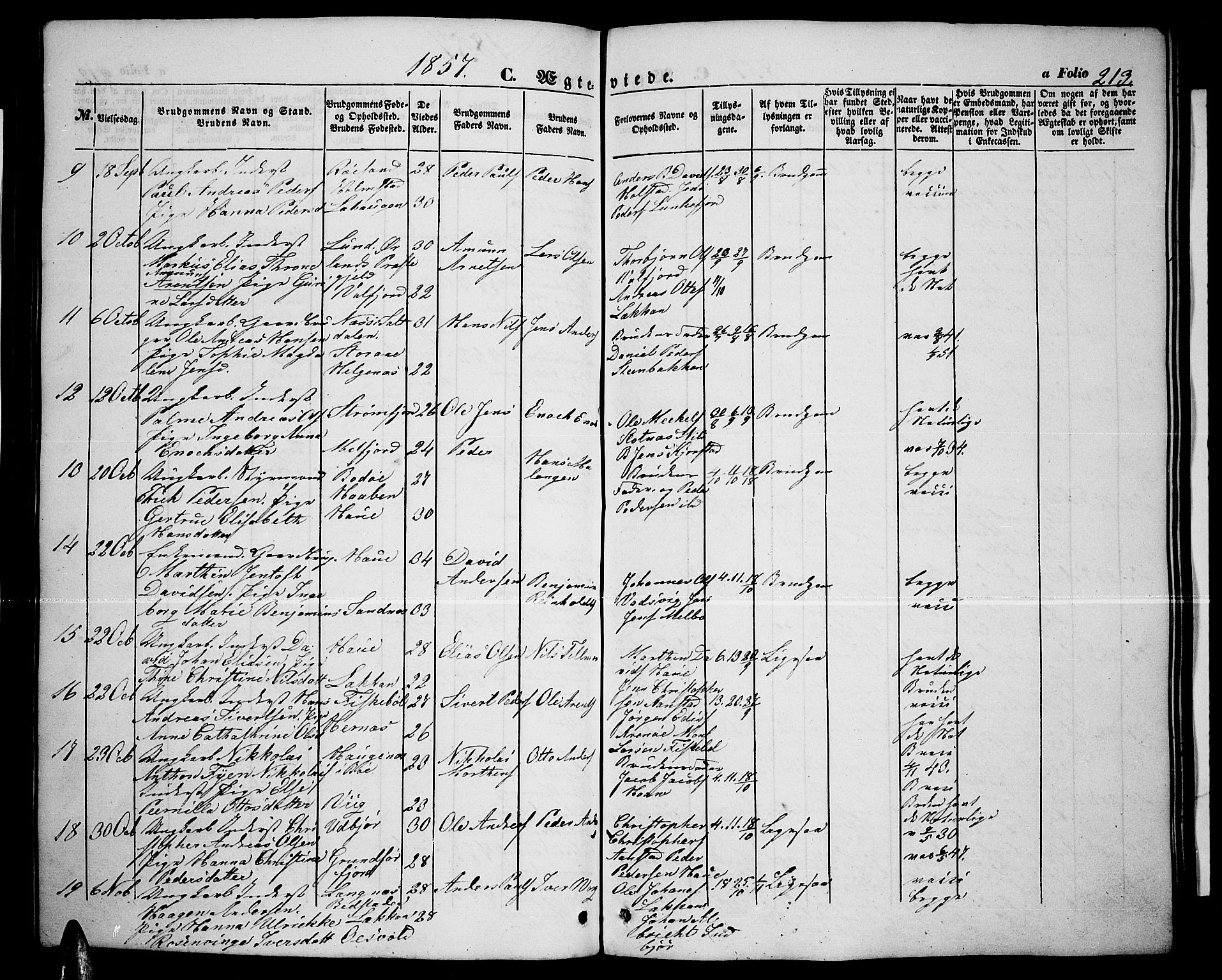 Ministerialprotokoller, klokkerbøker og fødselsregistre - Nordland, AV/SAT-A-1459/888/L1265: Parish register (copy) no. 888C03, 1850-1863, p. 213