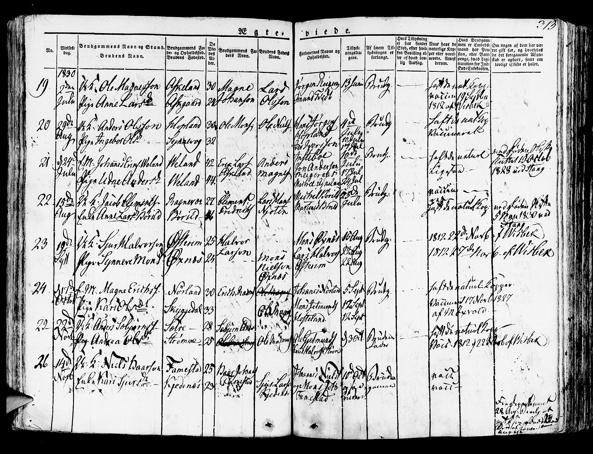 Lindås Sokneprestembete, SAB/A-76701/H/Haa: Parish register (official) no. A 8, 1823-1836, p. 313