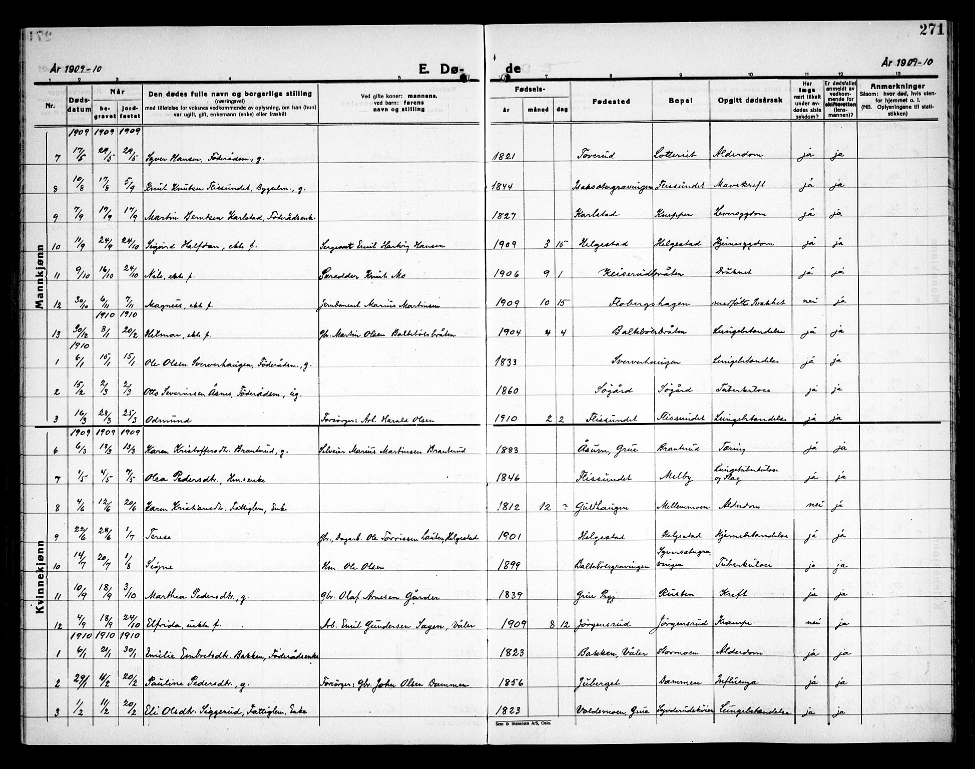 Åsnes prestekontor, AV/SAH-PREST-042/H/Ha/Haa/L0000C: Parish register (official) no. 0A, 1890-1929, p. 271