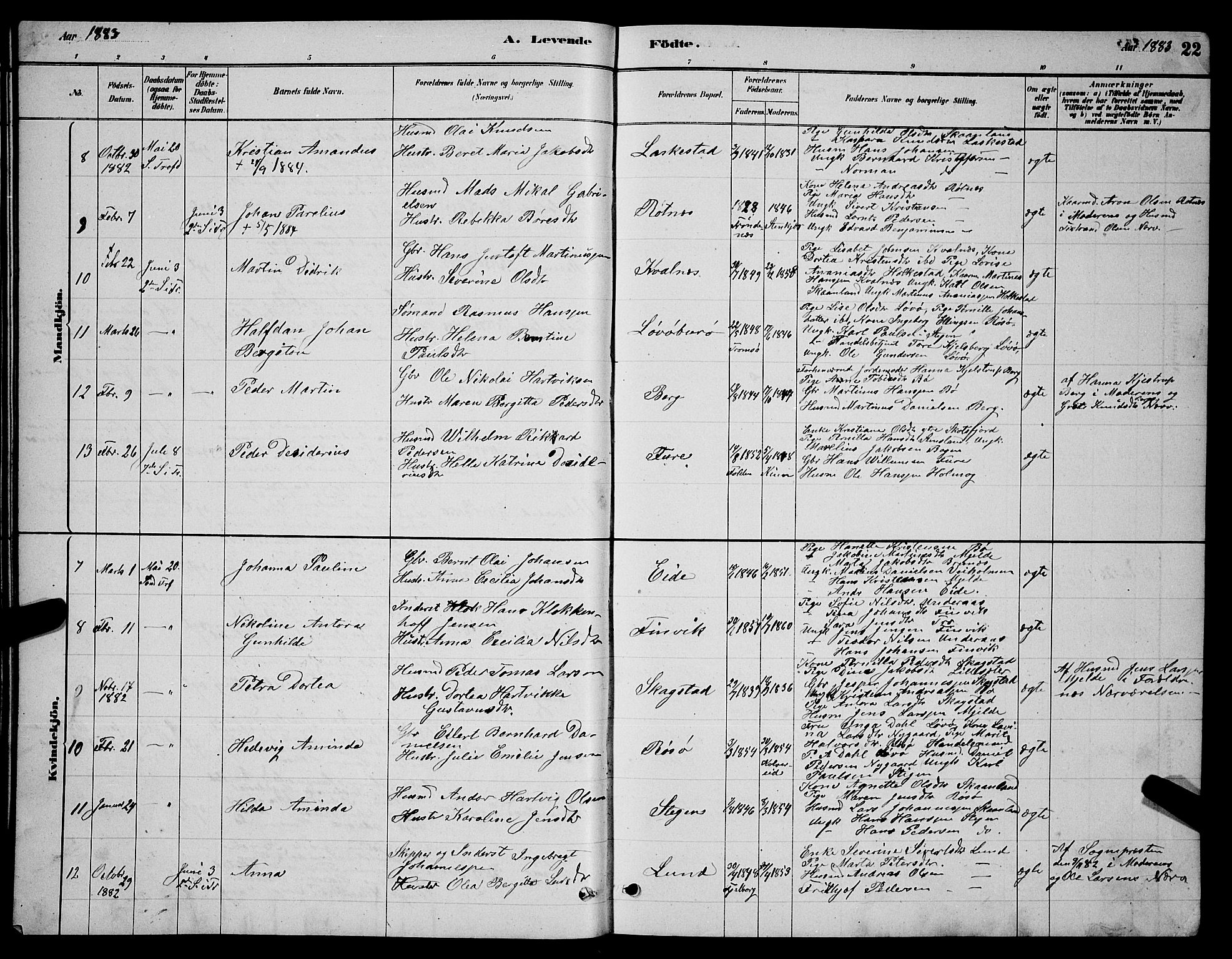 Ministerialprotokoller, klokkerbøker og fødselsregistre - Nordland, AV/SAT-A-1459/855/L0816: Parish register (copy) no. 855C05, 1879-1894, p. 22