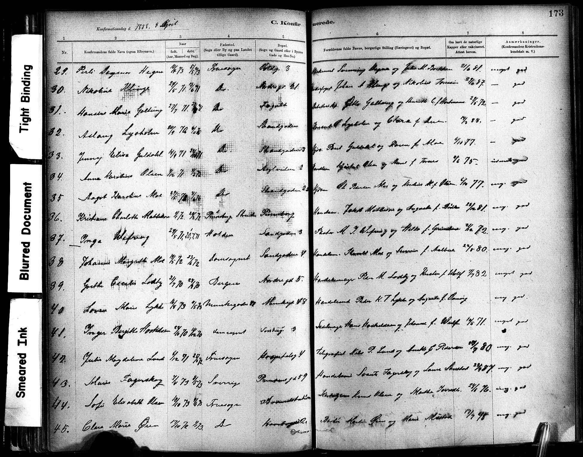 Ministerialprotokoller, klokkerbøker og fødselsregistre - Sør-Trøndelag, SAT/A-1456/602/L0119: Parish register (official) no. 602A17, 1880-1901, p. 173