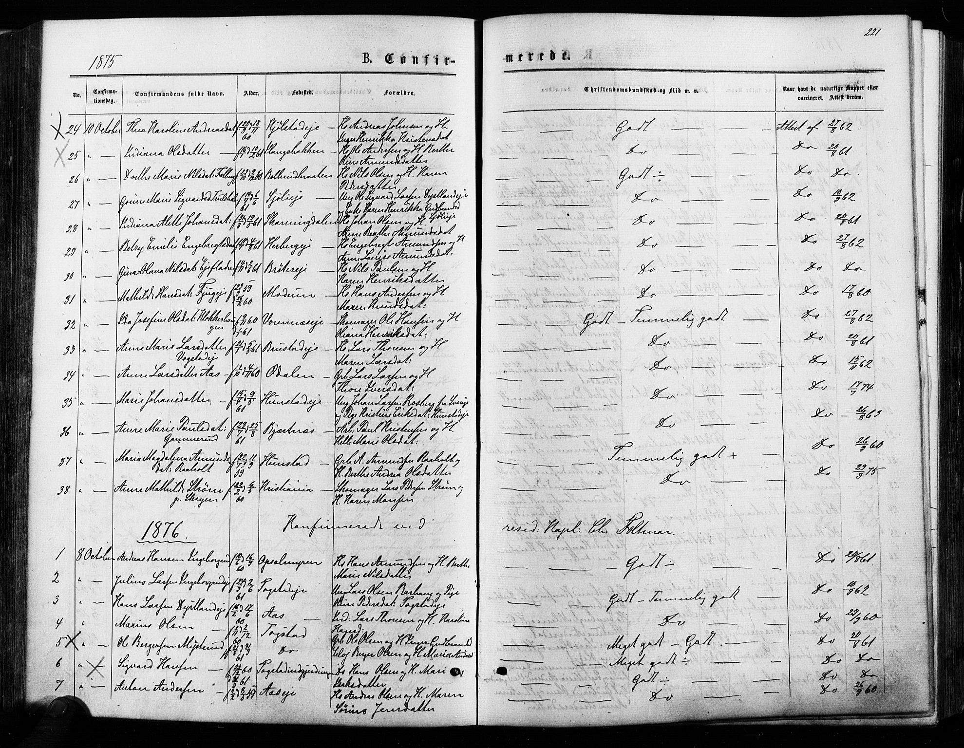 Nes prestekontor Kirkebøker, AV/SAO-A-10410/F/Fa/L0009: Parish register (official) no. I 9, 1875-1882, p. 221