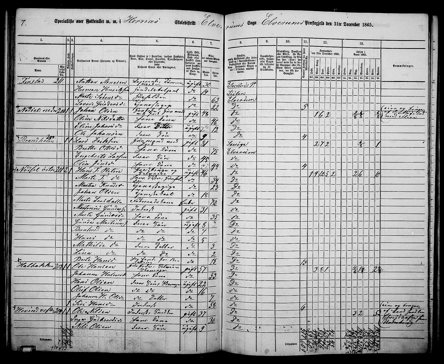 RA, 1865 census for Elverum, 1865, p. 173