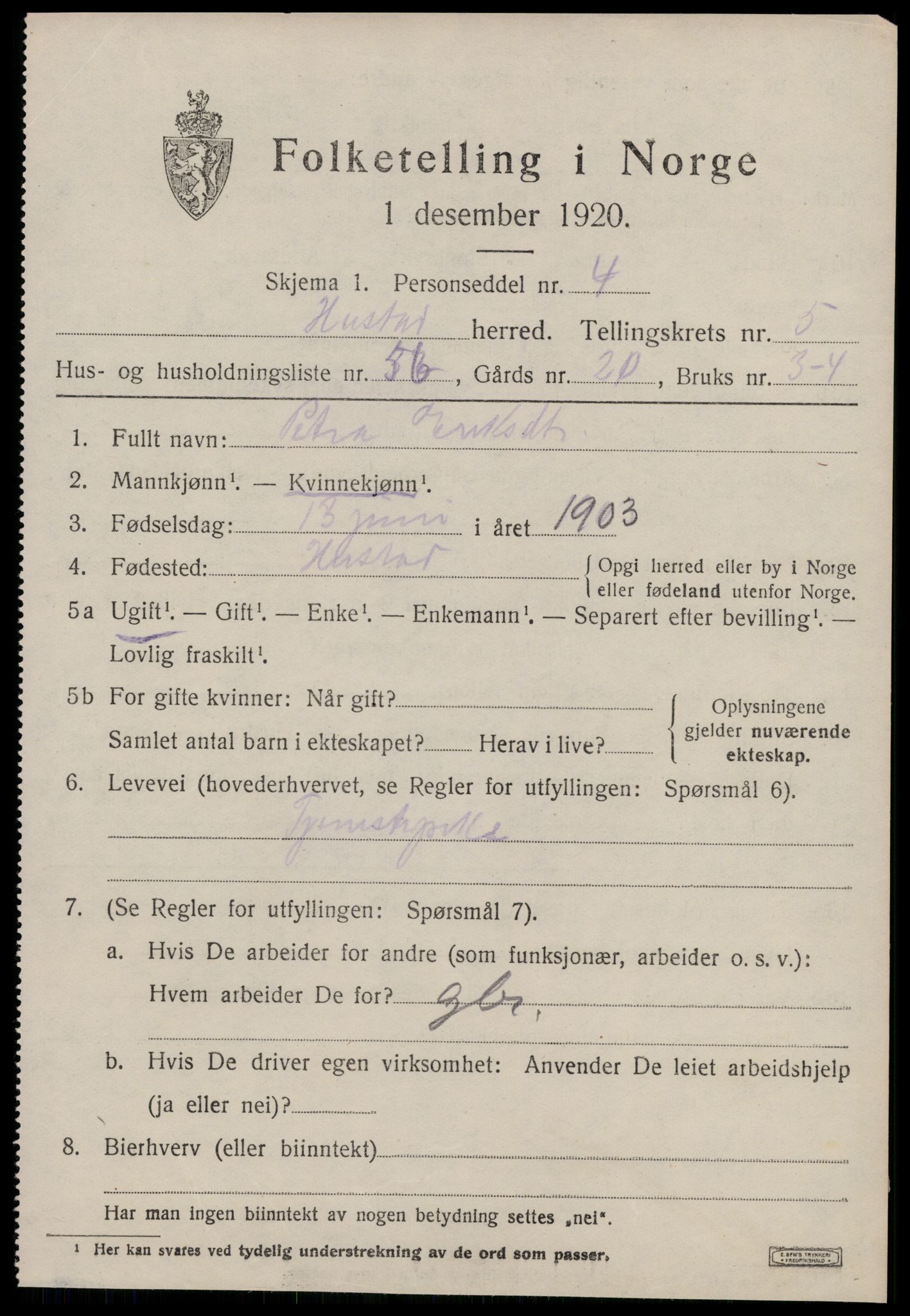 SAT, 1920 census for Hustad, 1920, p. 4163