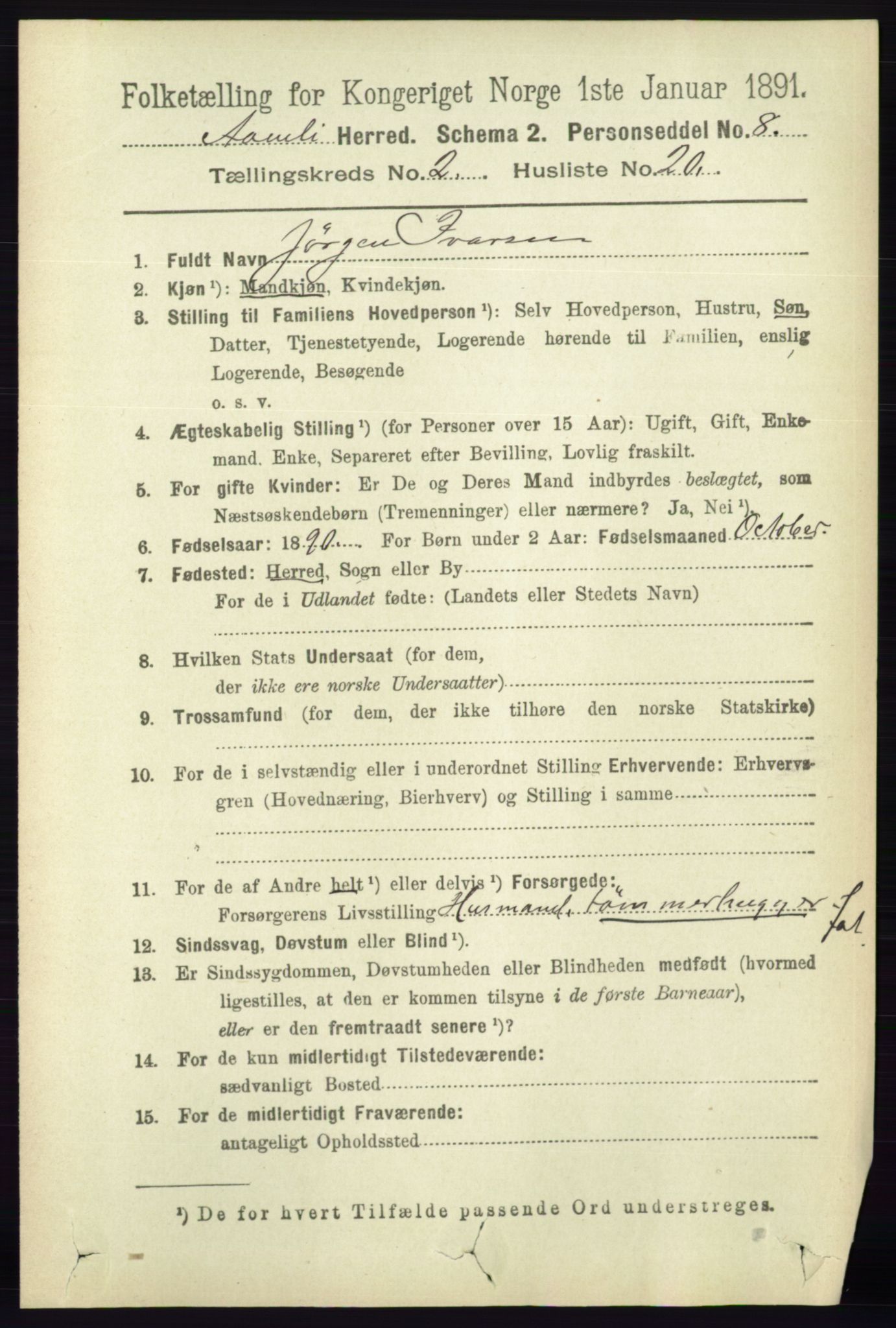 RA, 1891 census for 0929 Åmli, 1891, p. 296