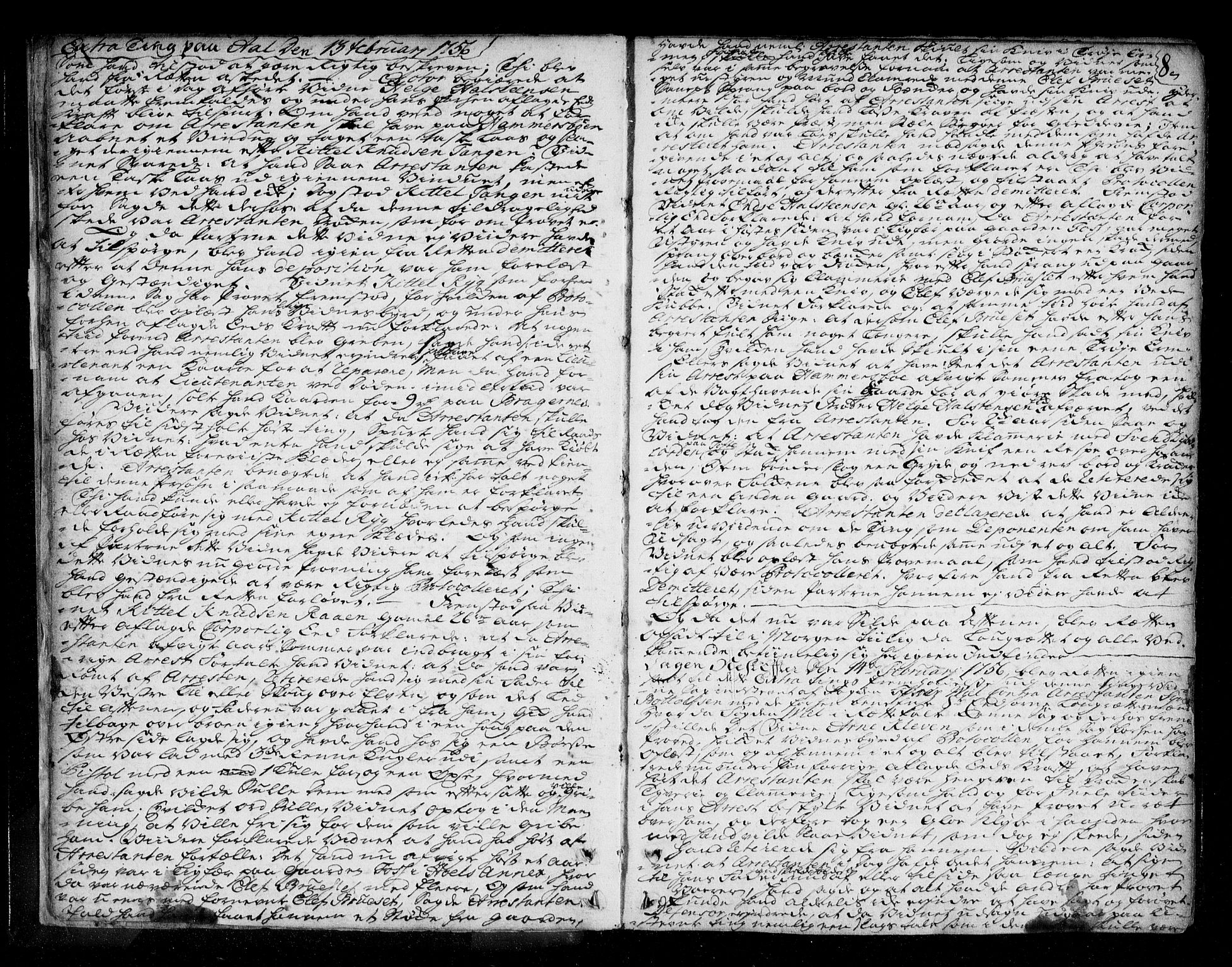 Ringerike og Hallingdal sorenskriveri, AV/SAKO-A-81/F/Fa/Fad/L0005: Tingbok - Hallingdal, 1756-1764, p. 8